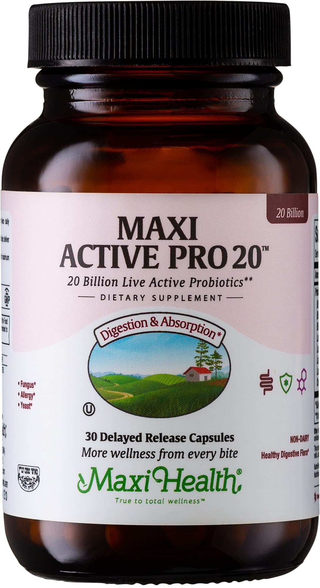 Foto 2 pulgar | Probiotic Maxi Health Digestive Support  30 Cápsulas  20 G De Cfu - Venta Internacional.