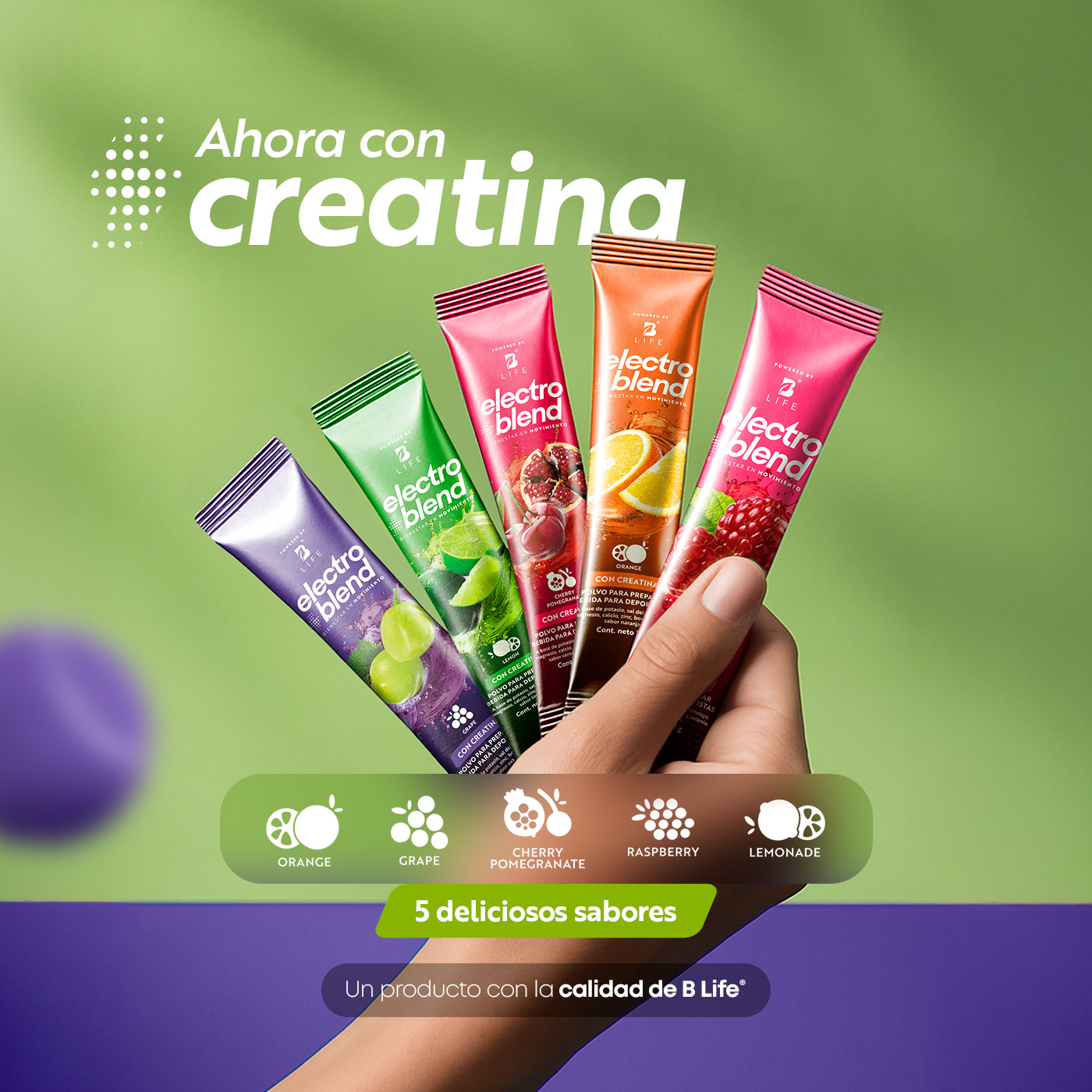 Foto 6 pulgar | Electrolitos Con Creatina B Life. 45 Sobres Con 5g De Creatina Por Porción. Sin Azúcar Y Con Minerales Esenciales