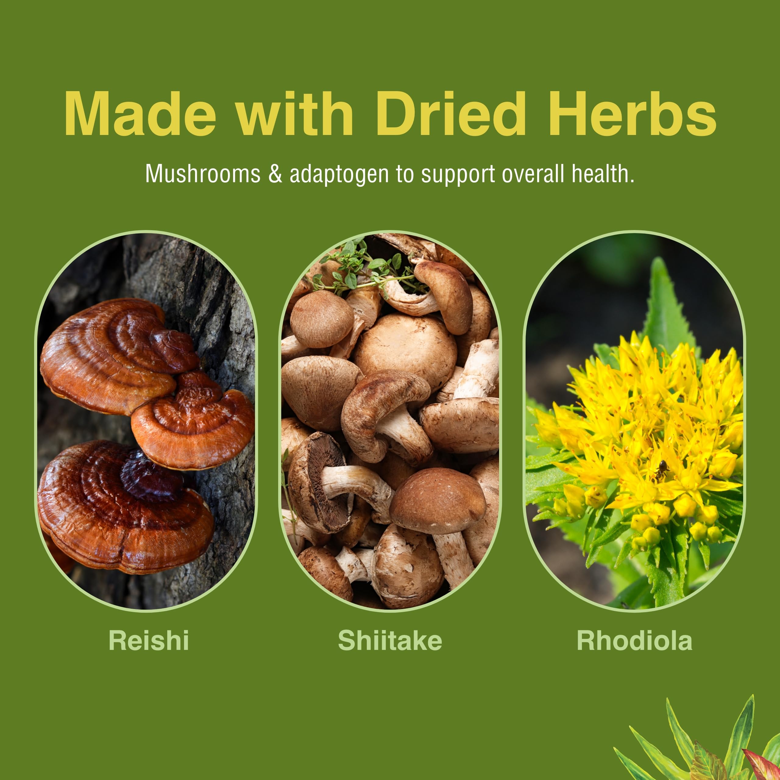 Foto 5 | Hierbas Suplementarias  Etc. Deep Health Con Hongos Reishi  60 Cápsulas Blandas - Venta Internacional.