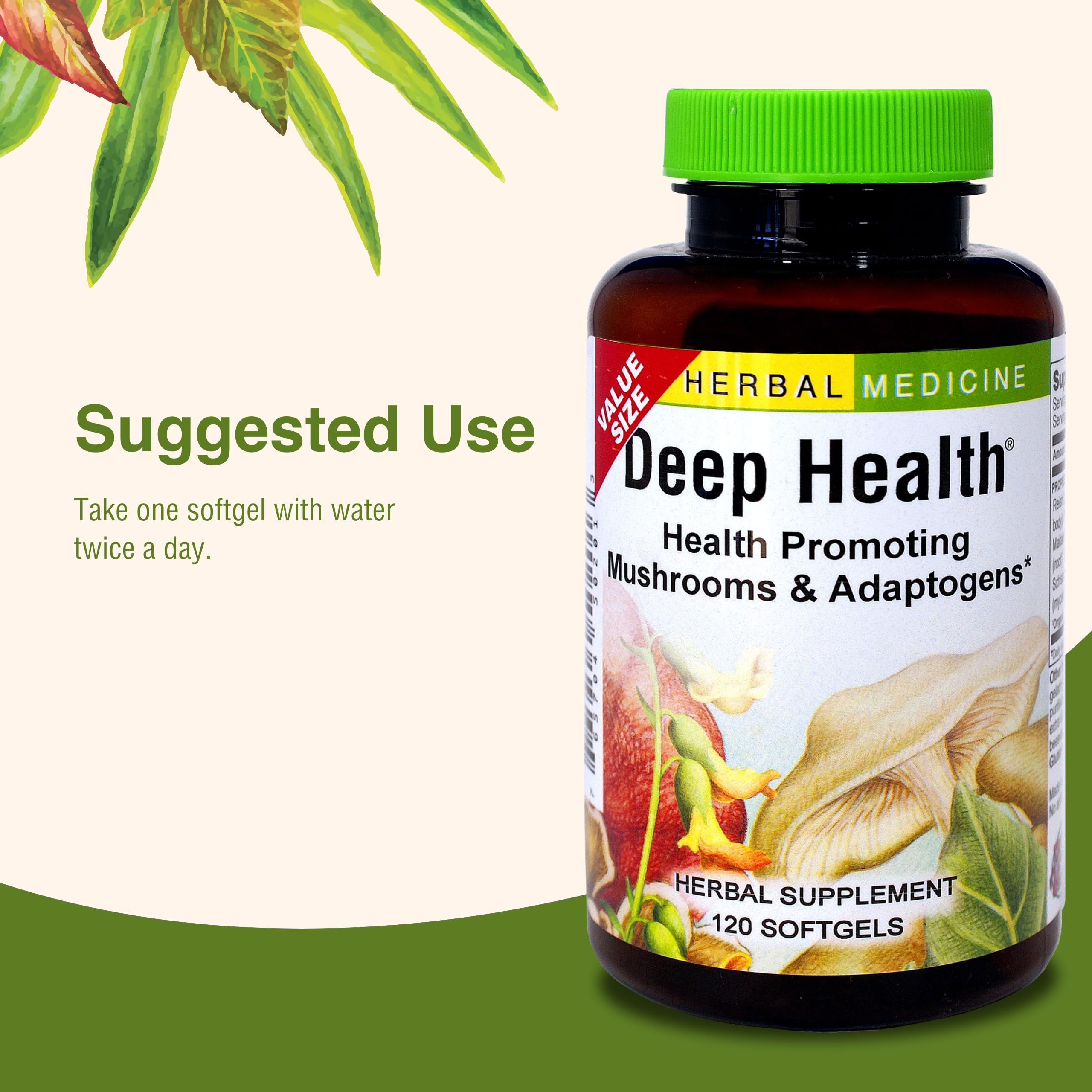 Foto 6 | Hierbas Suplementarias  Etc. Deep Health Con Hongos Reishi  60 Cápsulas Blandas - Venta Internacional.