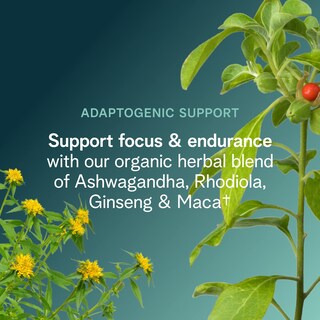 Foto 5 | Pre Entreno Orgánico Limonada de Frambuesa Ora Organic - Venta Internacional