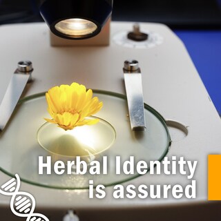 Foto 5 | Extracto Líquido Herb Pharm Mezcla De Ortiga 30 Ml - Venta Internacional.