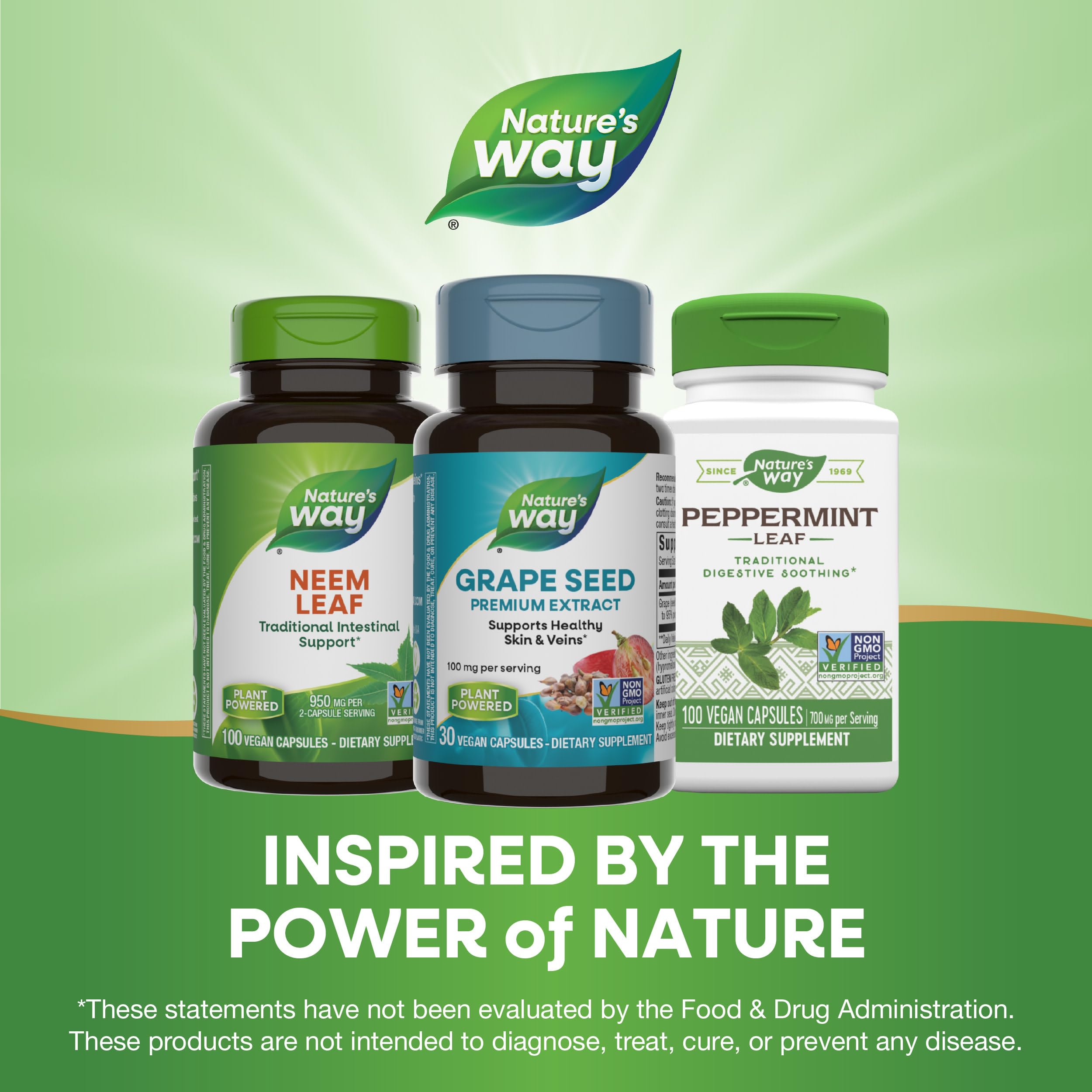 Foto 7 | Suplemento Nature's Way Con Extracto De Semilla De Uva De Primera Calidad  30 Cápsulas - Venta Internacional.