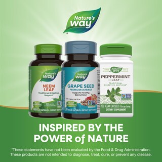 Foto 7 | Suplemento Nature's Way Con Extracto De Semilla De Uva De Primera Calidad 30 Cápsulas - Venta Internacional.