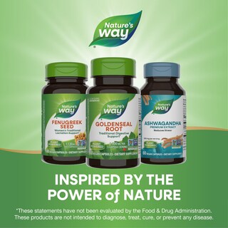 Foto 7 | Suplemento Nature's Way Goldenseal Root 50 Cápsulas - Venta Internacional.