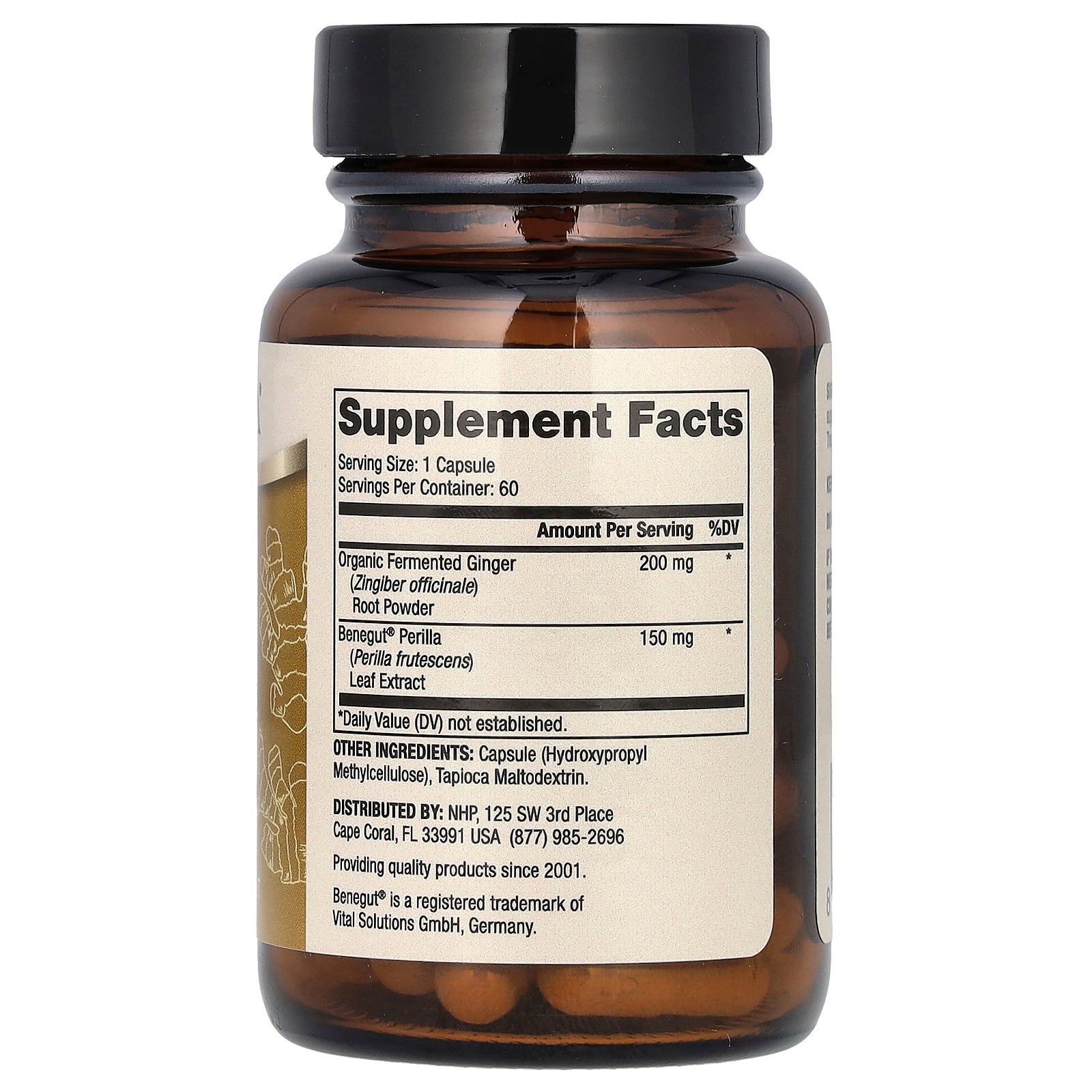 Foto 2 | Complemente El Jengibre Fermentado Dr. Mercola Con Benegut 60 Cápsulas - Venta Internacional.