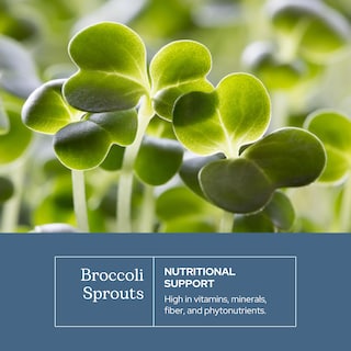Foto 3 | Brotes De Brócoli Eclectic Institute 150 Cápsulas-Venta Internacional