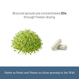 Foto 6 | Brotes De Brócoli Eclectic Institute 150 Cápsulas-Venta Internacional