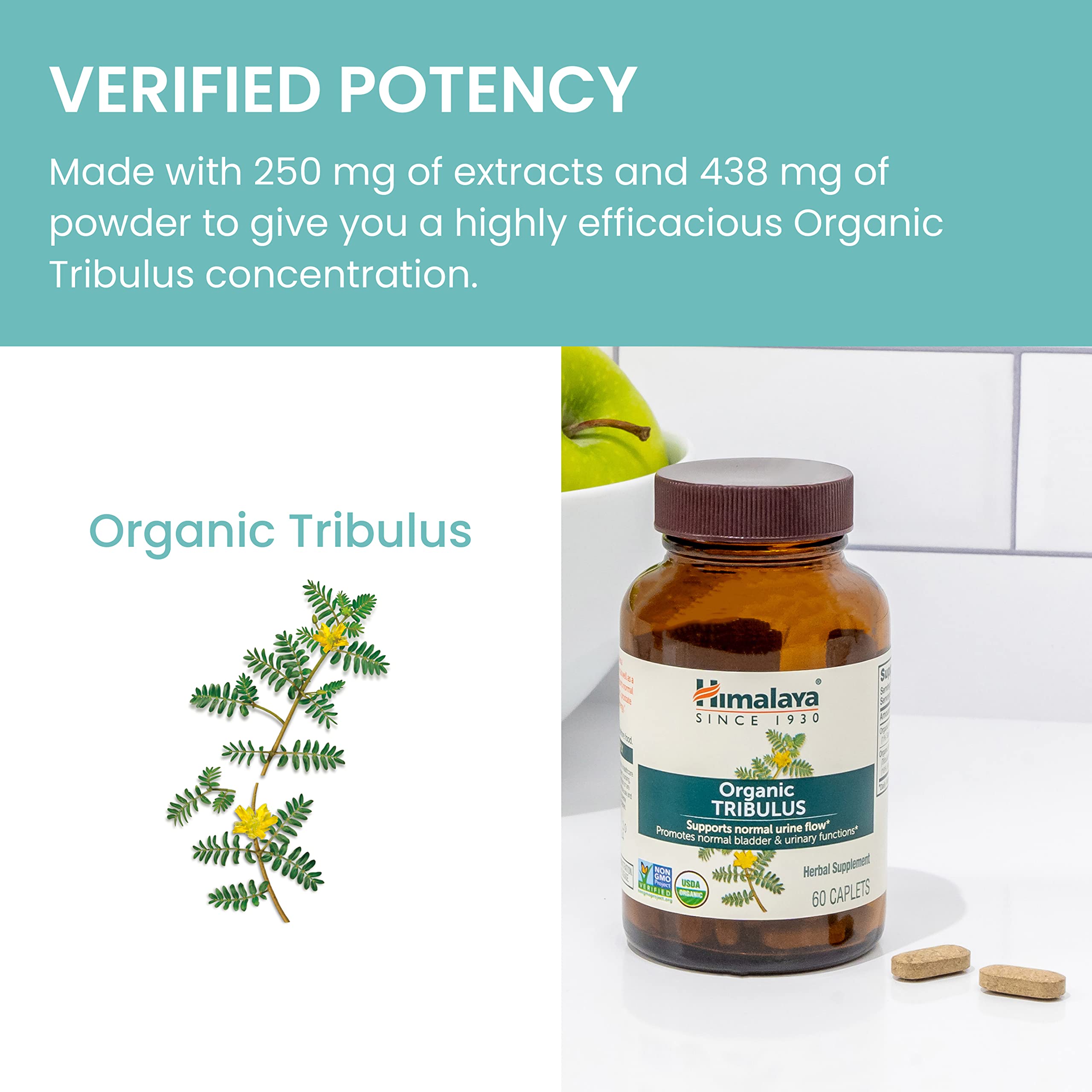 Foto 8 pulgar | Suplemento Himalaya Organic Tribulus Terrestris 688 Mg 60 Cápsulas - Venta Internacional.