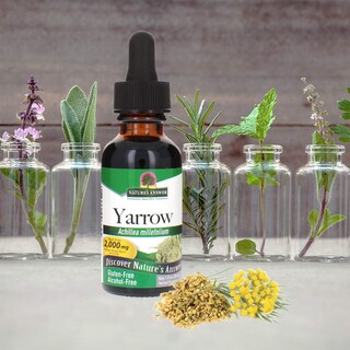 Foto 2 | Suplemento Alimenticio Nature's Answer Con Flores De Milenrama, 30 Ml, Sin Alcohol - Venta Internacional