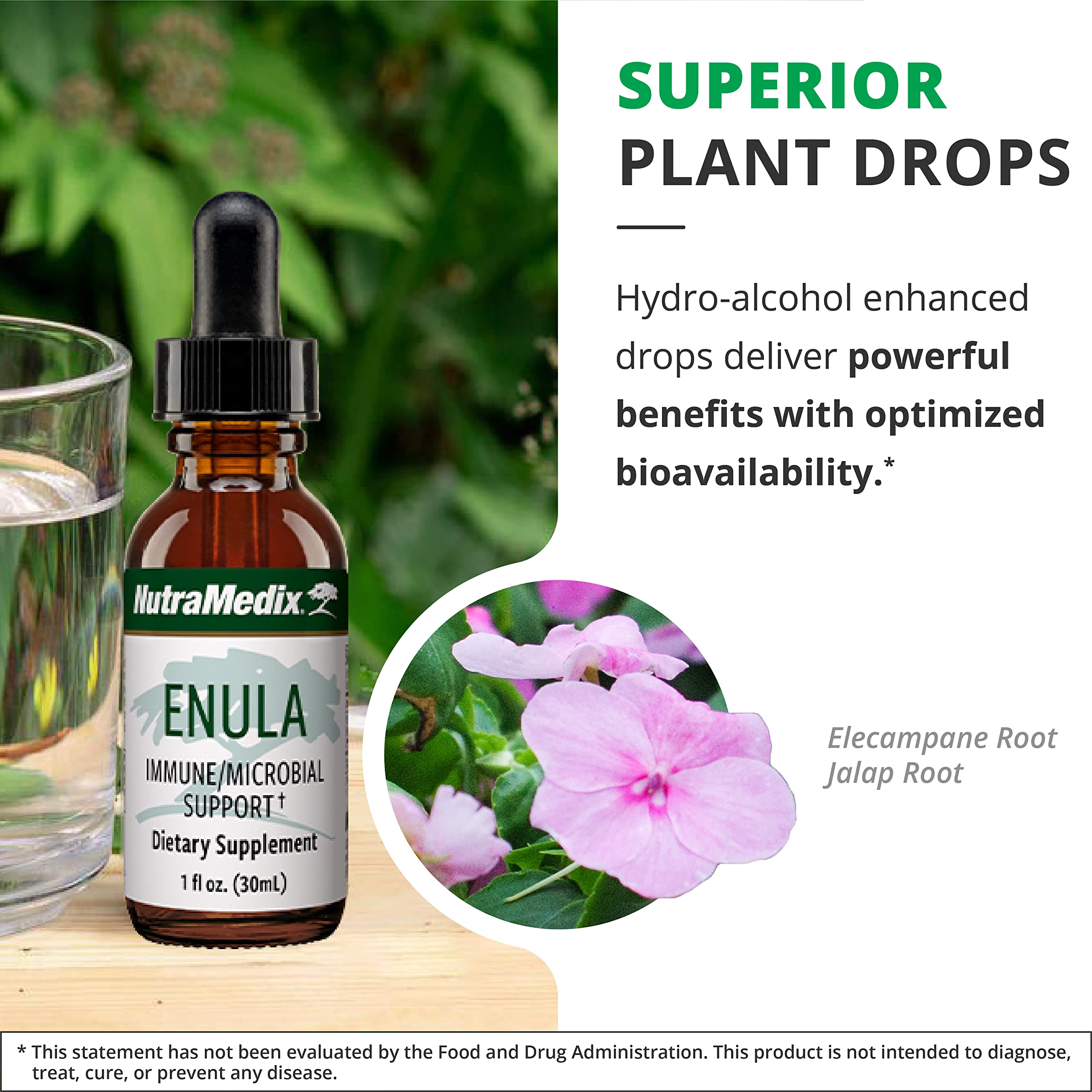Foto 6 pulgar | Gotas Líquidas Nutramedix Enula Antioxidant & Immune 30 Ml - Venta Internacional.