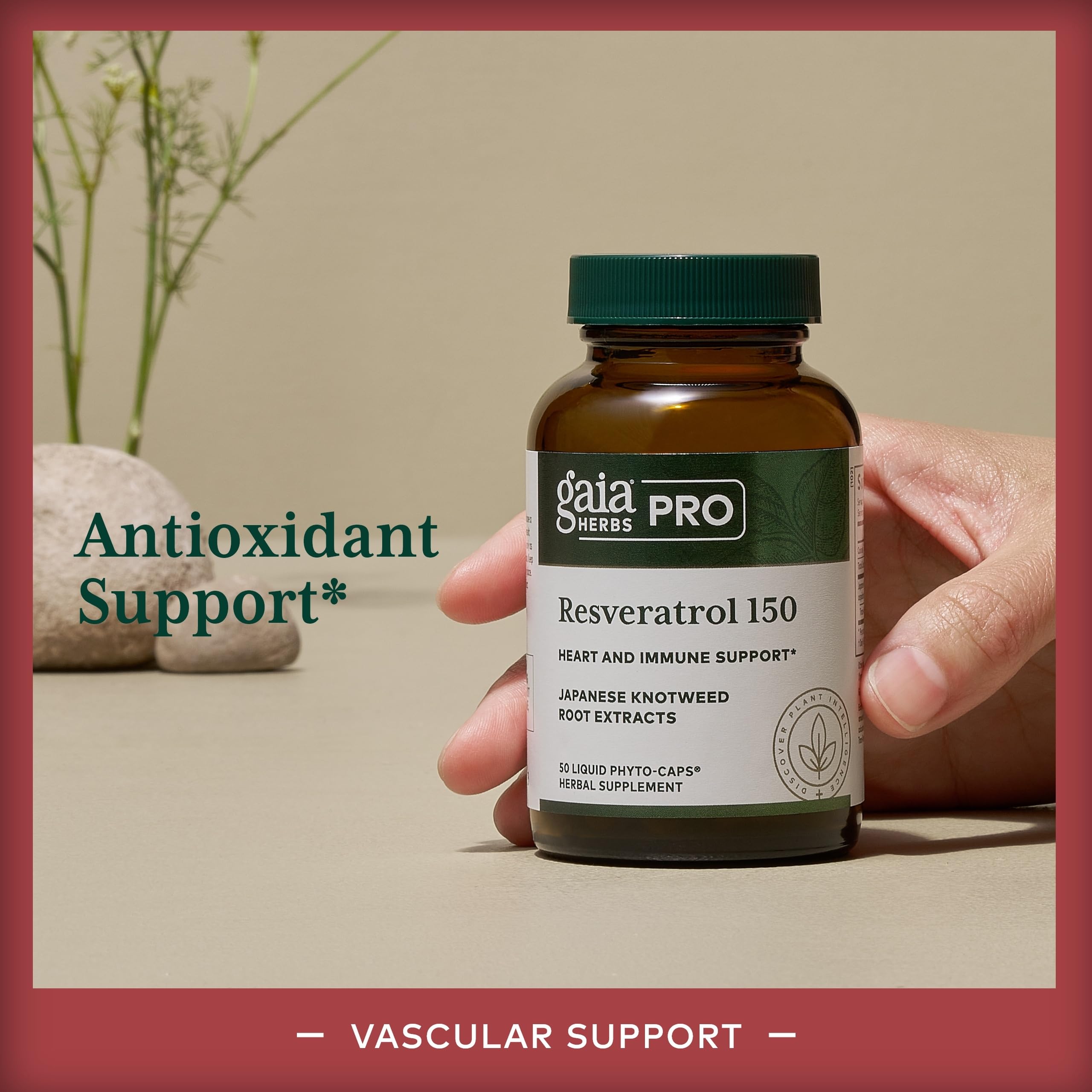 Foto 4 pulgar | Suplemento Gaia Herbs Pro Resveratrol 150 Para La Salud Del Corazón  50 Cápsulas - Venta Internacional.