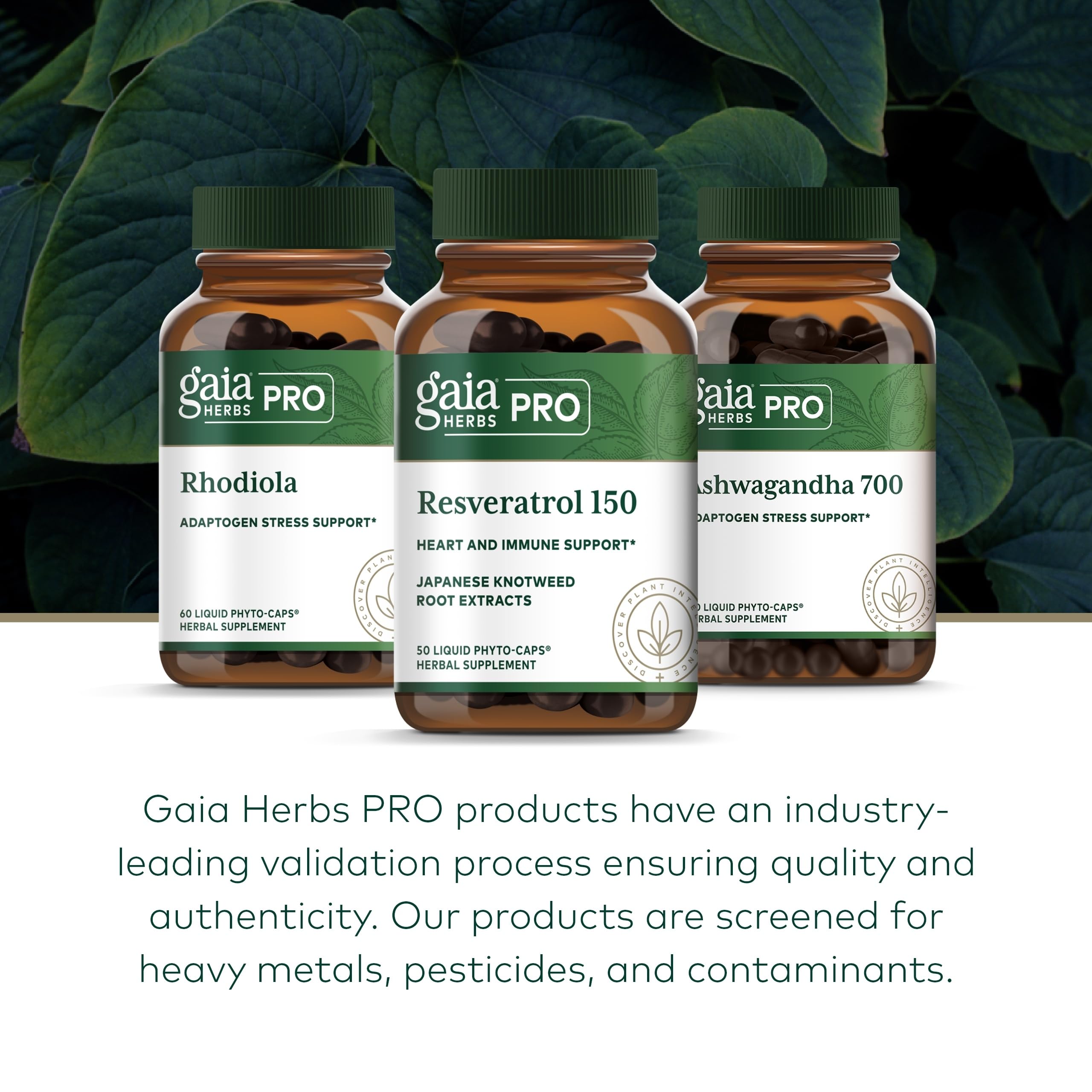 Foto 7 pulgar | Suplemento Gaia Herbs Pro Resveratrol 150 Para La Salud Del Corazón  50 Cápsulas - Venta Internacional.