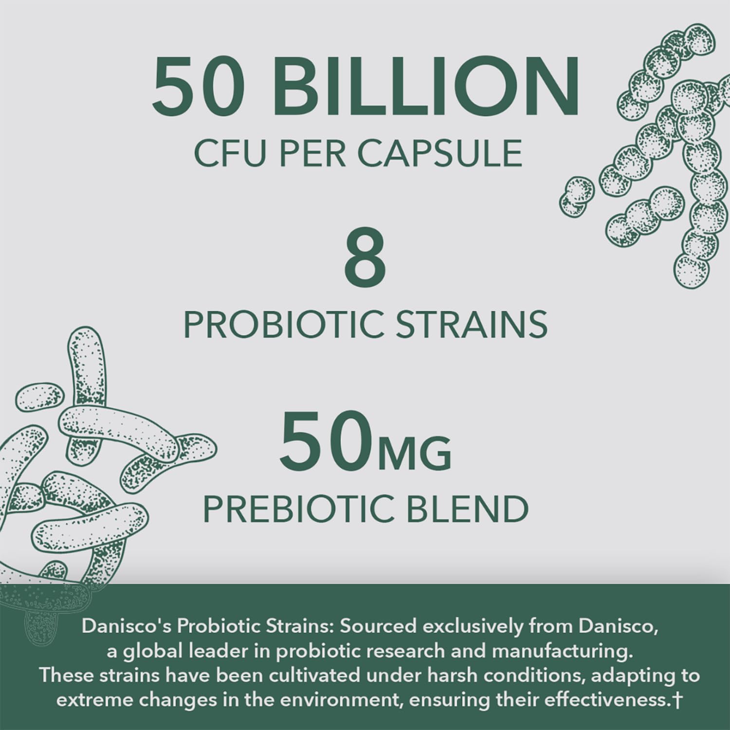 Foto 2 | Probiotics Plantfusion Vegan Women 50 G Cfu 30 Cápsulas - Venta Internacional.