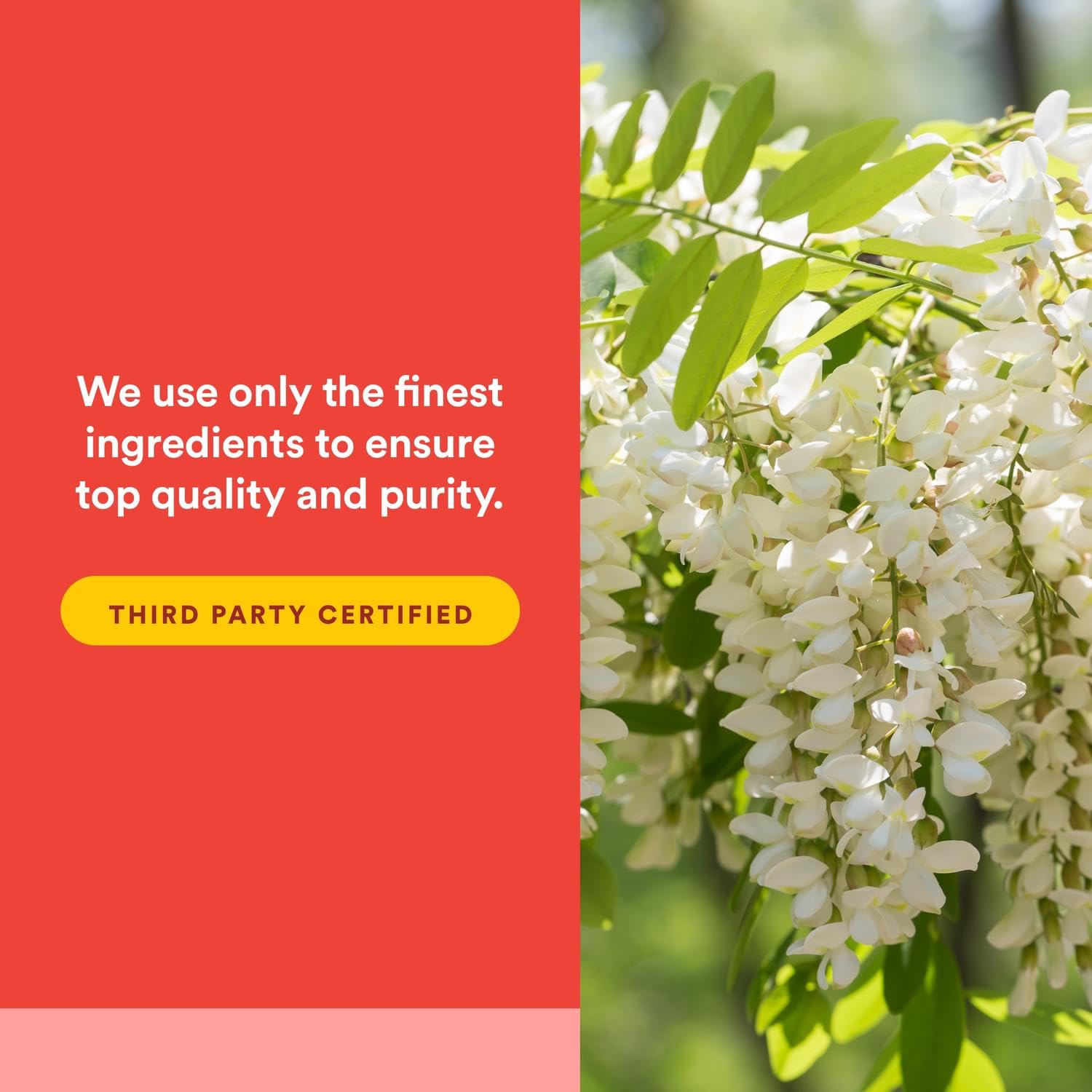 Foto 6 pulgar | Suplemento 500 Mg de Quercetina Natural Factors con Zinc y Cobre - Venta Internacional
