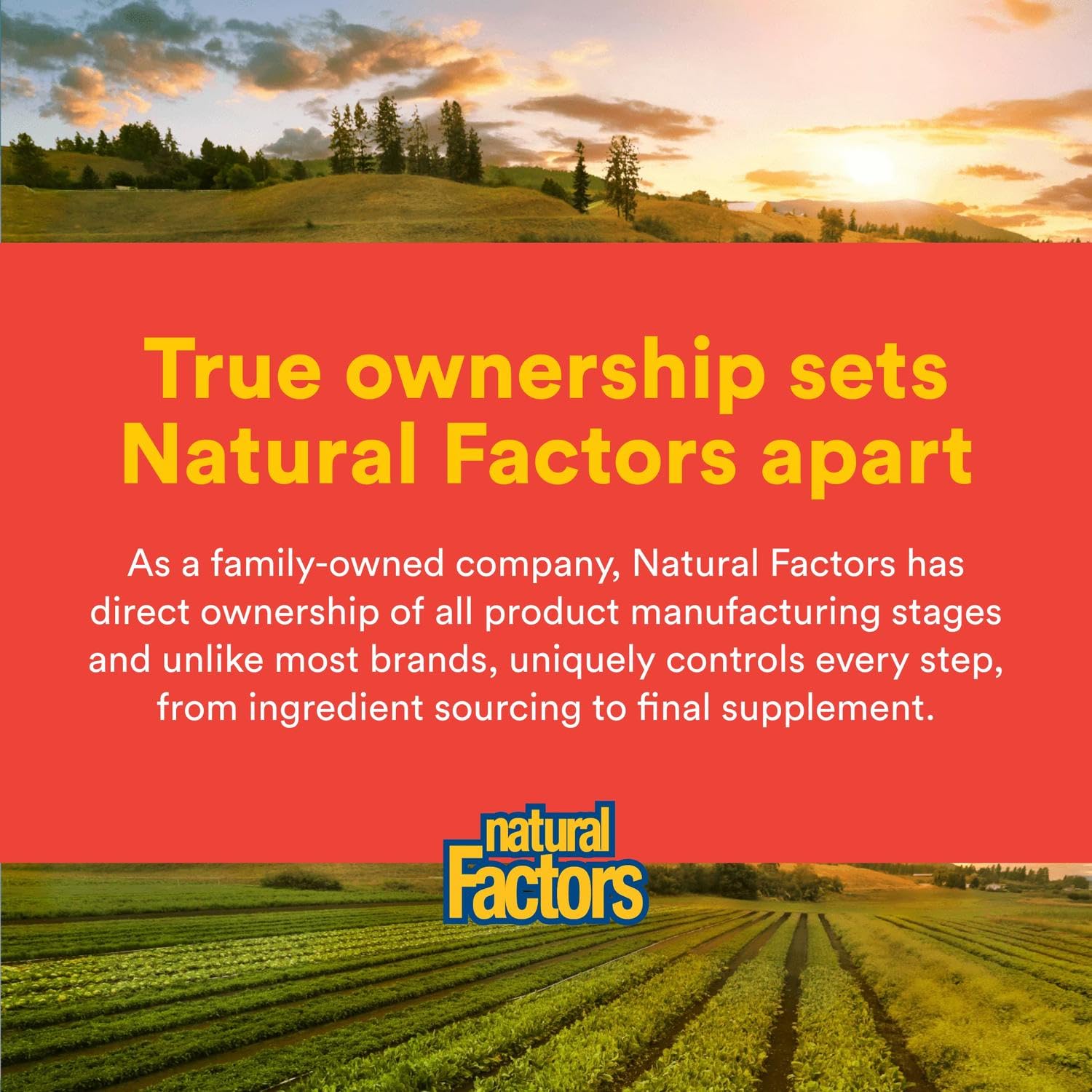 Foto 8 pulgar | Suplemento 500 Mg de Quercetina Natural Factors con Zinc y Cobre - Venta Internacional