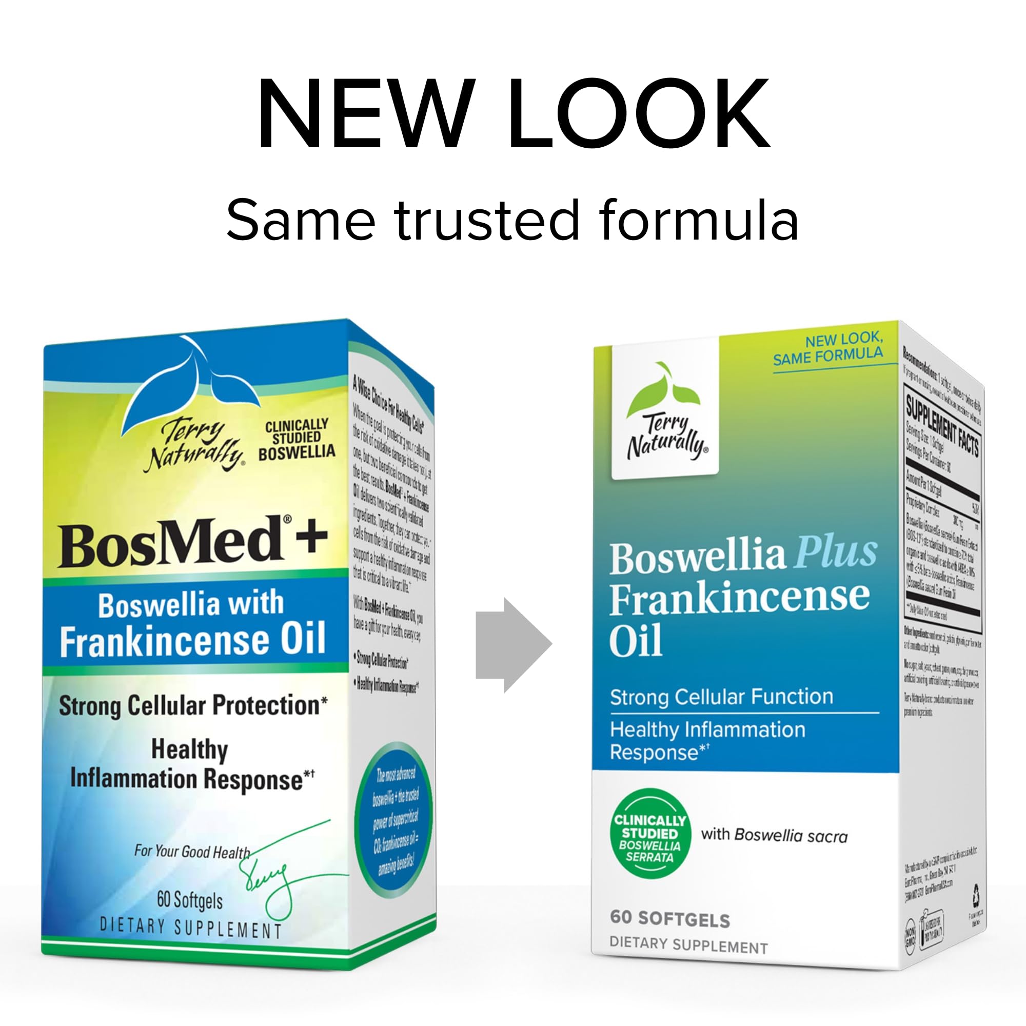 Foto 3 | Suplemento de Aceite de Incienso Terry Naturally Boswellia Plus 60 Softgels - Venta Internacional