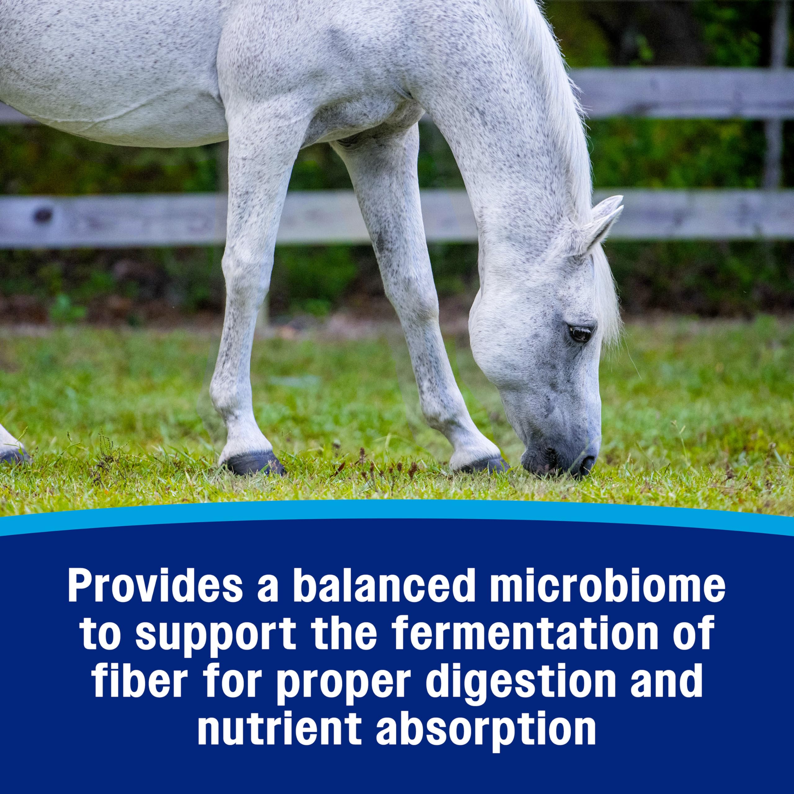 Foto 5 pulgar | Suplemento Farnam Hindgut Estabilizer Pellets Para Caballos - Venta Internacional.