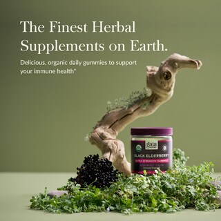 Foto 3 | Suplemento Gaia Herbs Gomitas De Saúco Negro 40 Unidades - Venta Internacional.