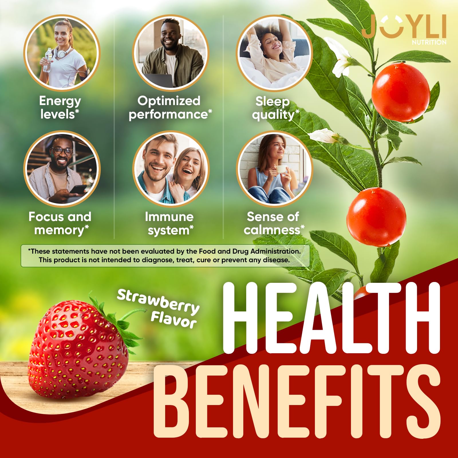 Foto 2 | Extracto De Raíz De Ashwagandha De Gummies Joyli Nutrition  60 Unidades Masticables - Venta Internacional.