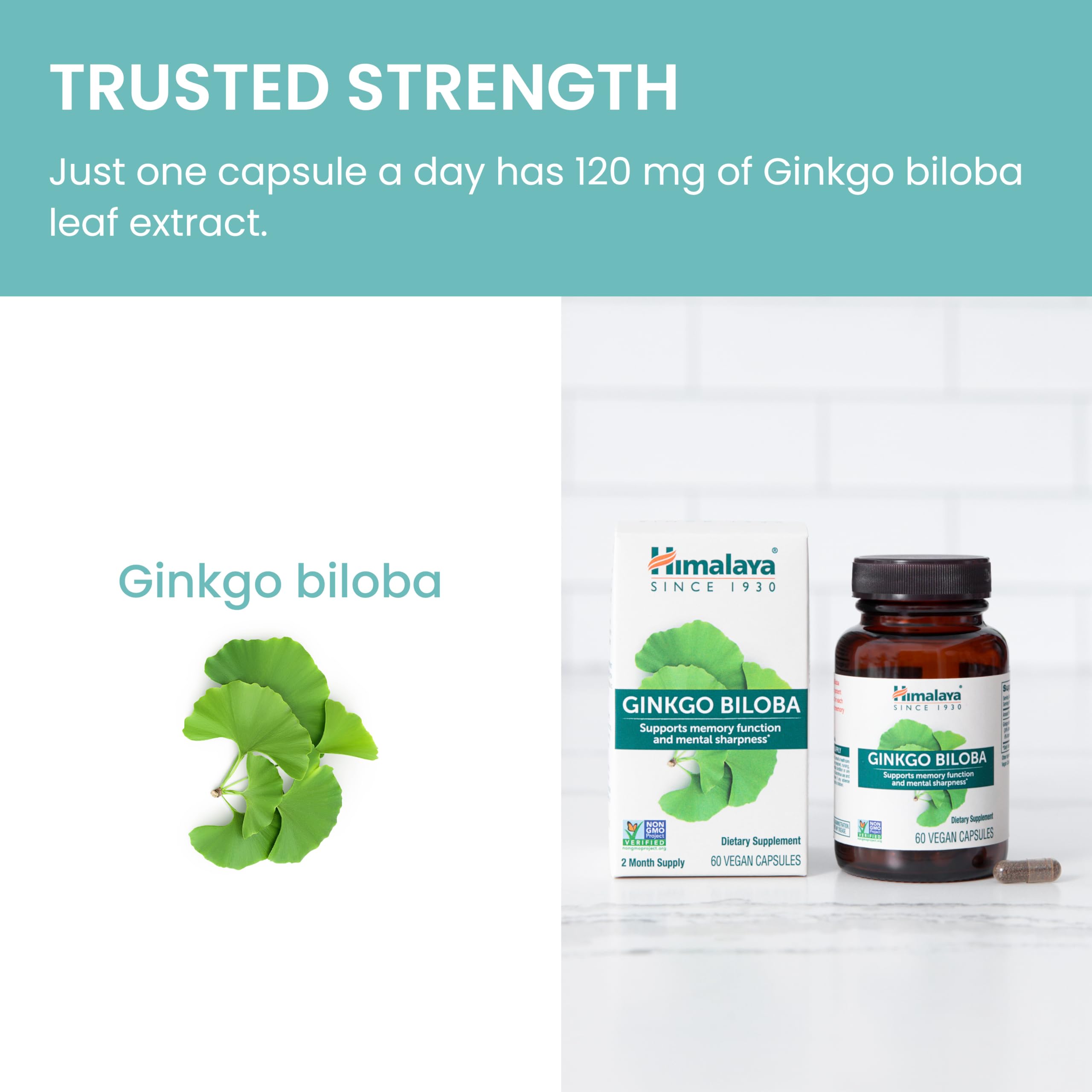 Foto 5 | Suplemento Himalaya Ginkgo Biloba 120 Mg 60 Cápsulas - Venta Internacional.