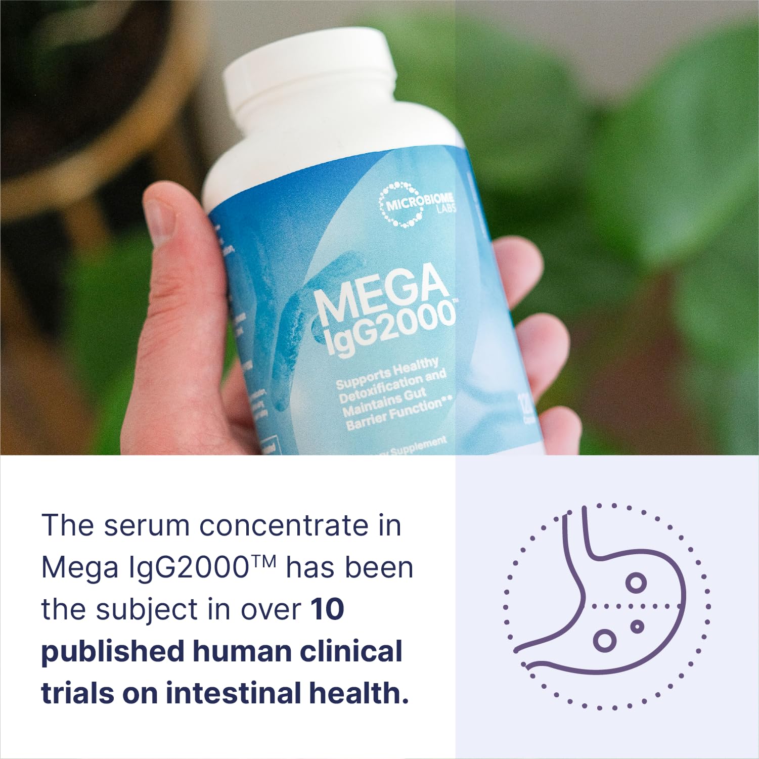 Foto 5 pulgar | Suplemento Microbiome Labs Mega Igg2000 Para La Salud Intestinal  60 Ml - Venta Internacional.