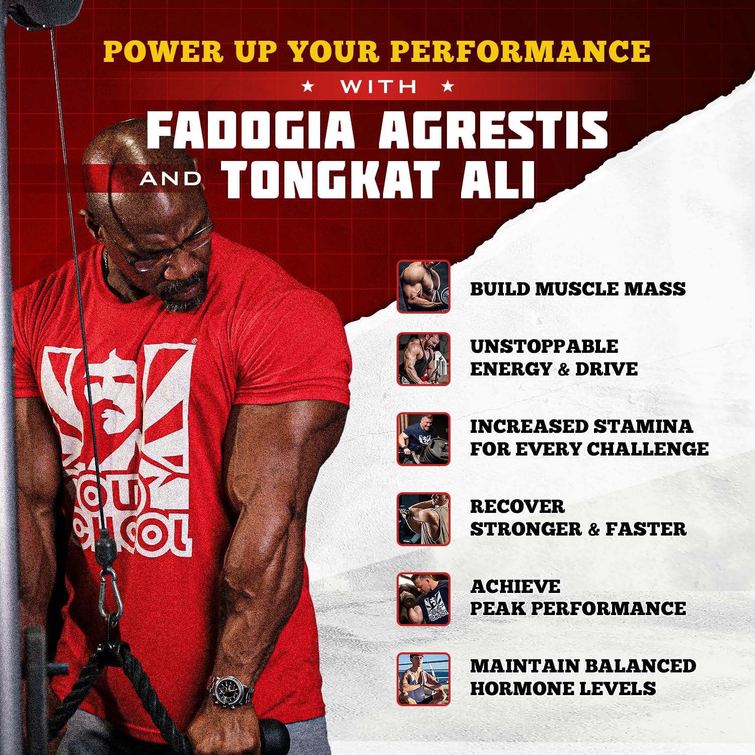 Foto 3 pulgar | Suplemento De Testosterona Old School Labs Fadogia Agrestis 1500 Mg - Venta Internacional.