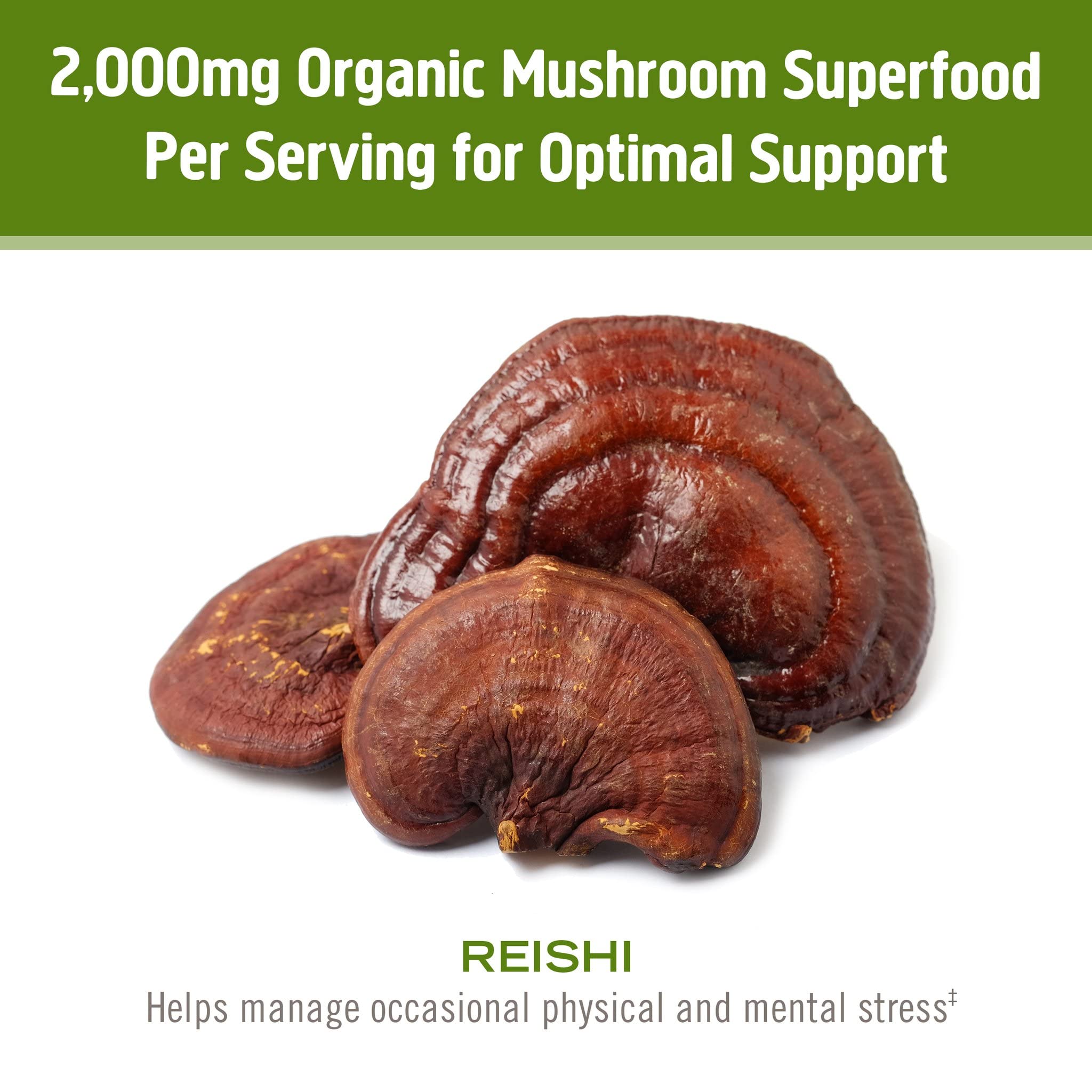 Foto 5 pulgar | Suplemento Om  Superalimento De Hongos  Reishi En Polvo  100 Porciones - Venta Internacional.