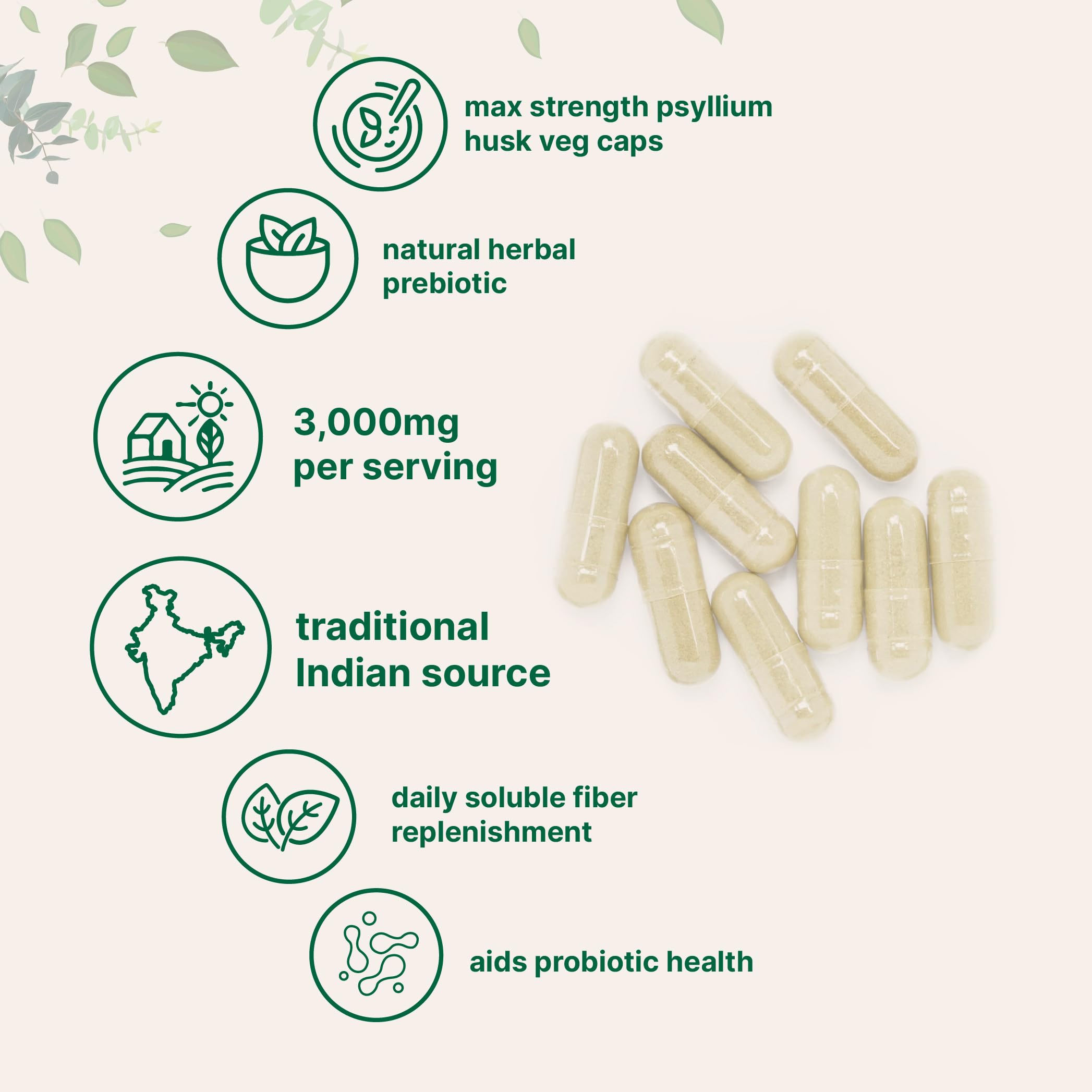 Foto 4 pulgar | Suplemento Con Microingredientes: Cáscara De Psyllium  3000 Mg  500 Cápsulas - Venta Internacional.