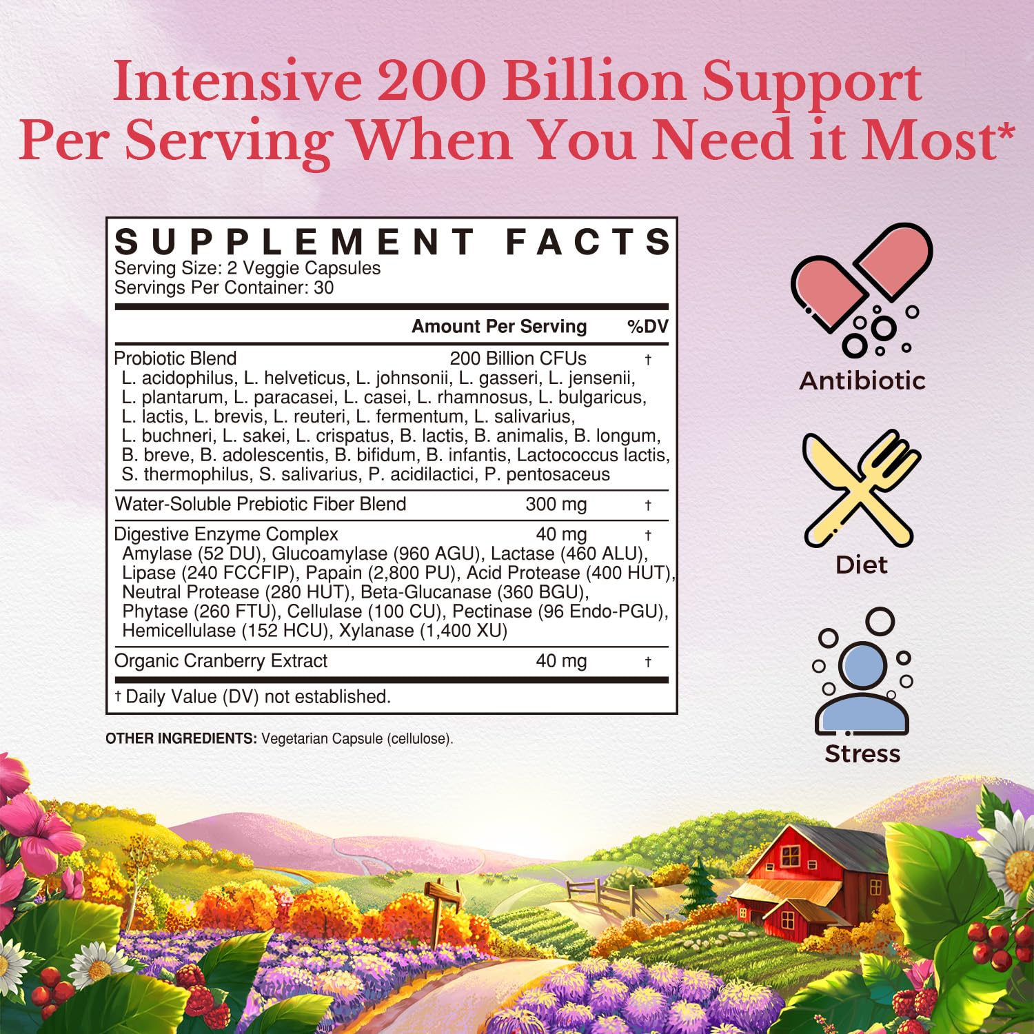 Foto 3 pulgar | Probiotics Vitalitown  200 Mil Millones De Ufc  30 Cepas  60 Comprimidos - Venta Internacional.