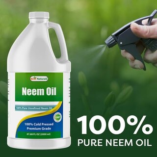Foto 5 | Aceite De Neem Best Naturals 100% Puro Prensado En Frío Sin Refinar 2 Litros - Venta Internacional.