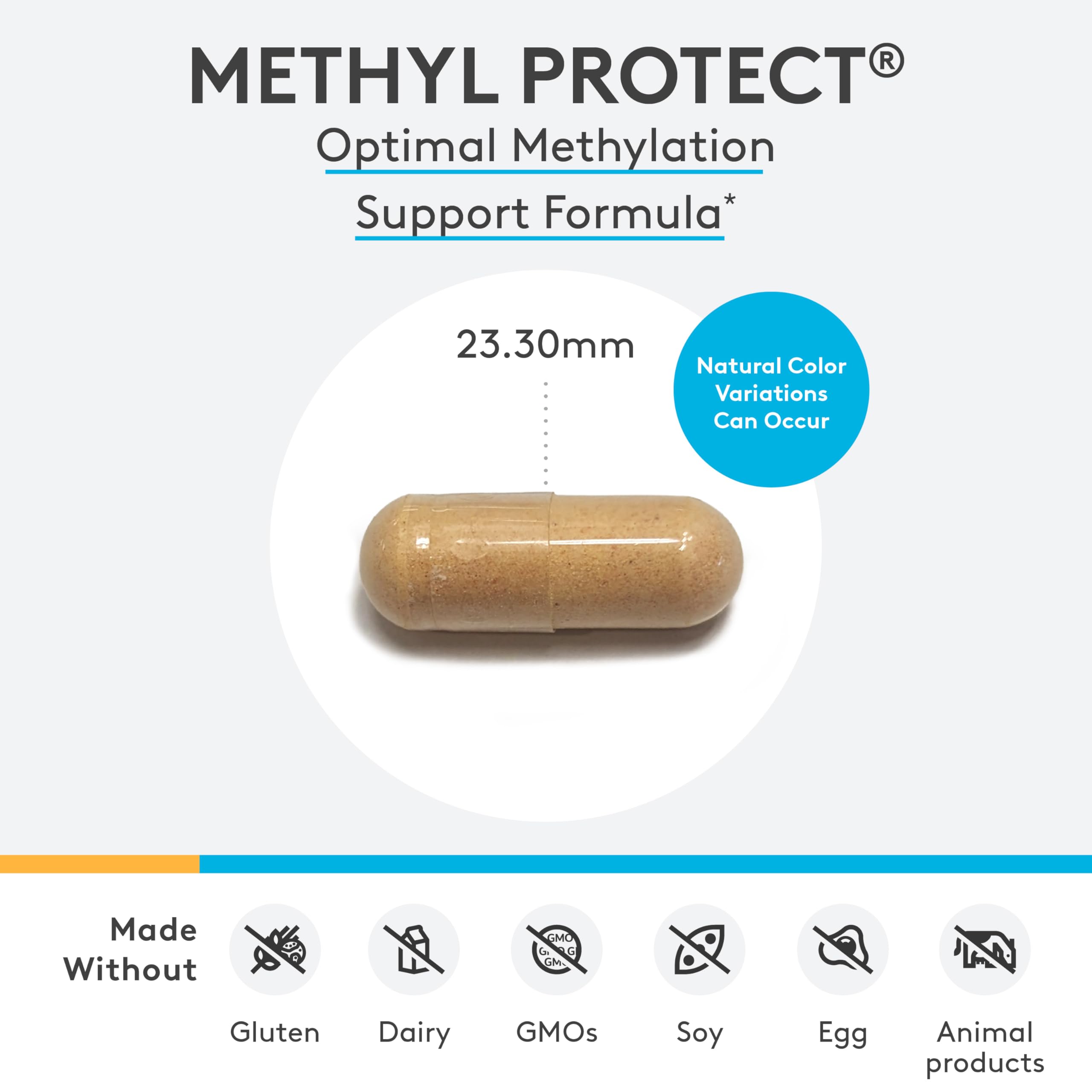 Foto 3 pulgar | Suplemento Xymogen Methyl Protect Methylation 60 Cápsulas - Venta Internacional.
