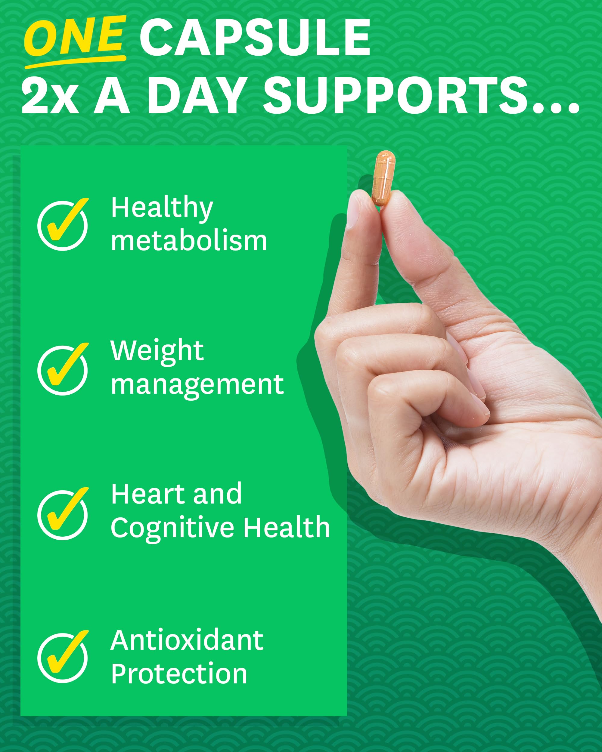 Foto 3 pulgar | Complemente El Extracto De Té Verde De Zenwise Health Con Café Verde - Venta Internacional.
