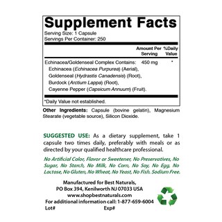 Foto 2 | Suplemento Best Naturals Echinacea Goldenseal 450 Mg 250 Cápsulas - Venta Internacional.