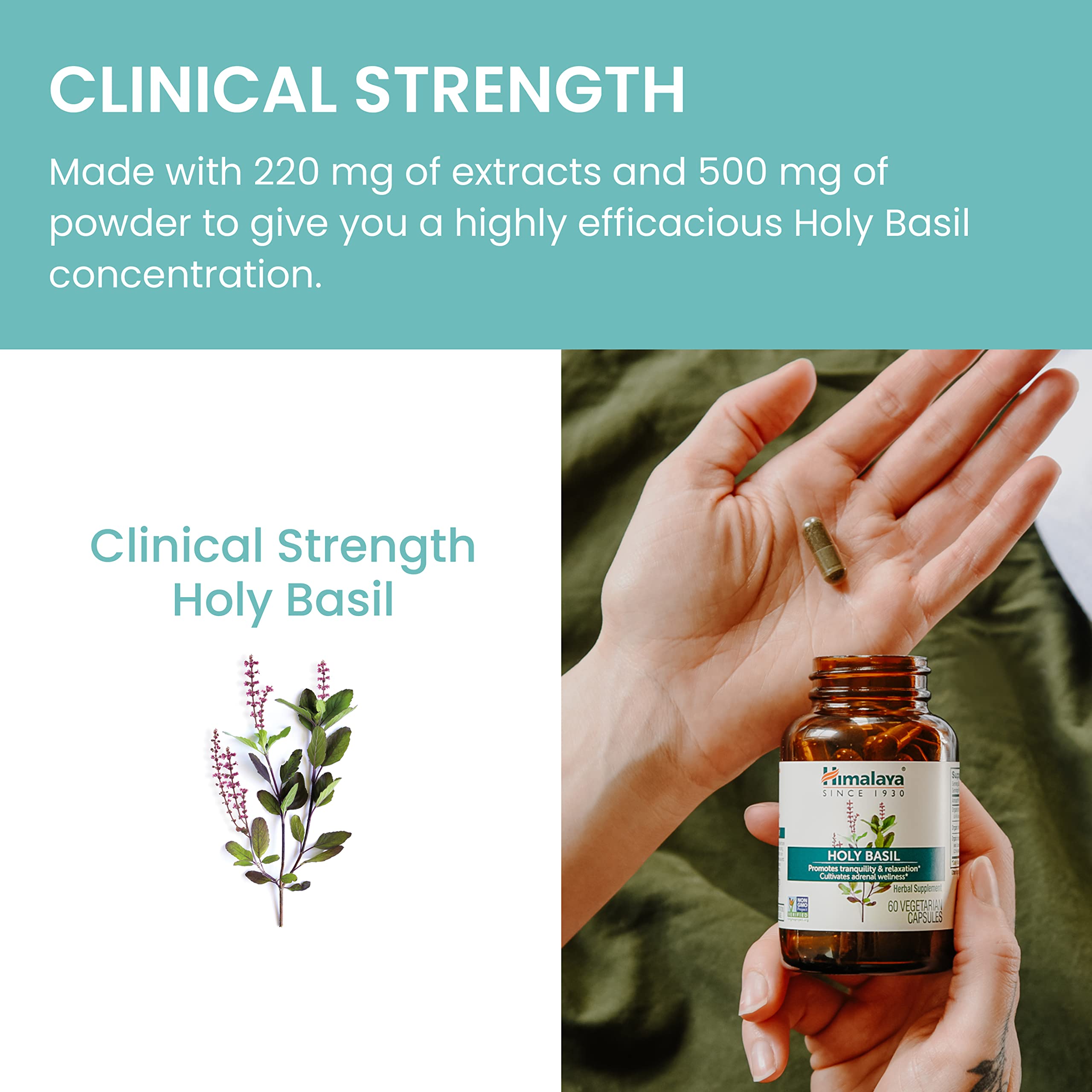 Foto 7 pulgar | Suplemento Himalaya Holy Basil Tulsi 720 Mg 60 Cápsulas - Venta Internacional.