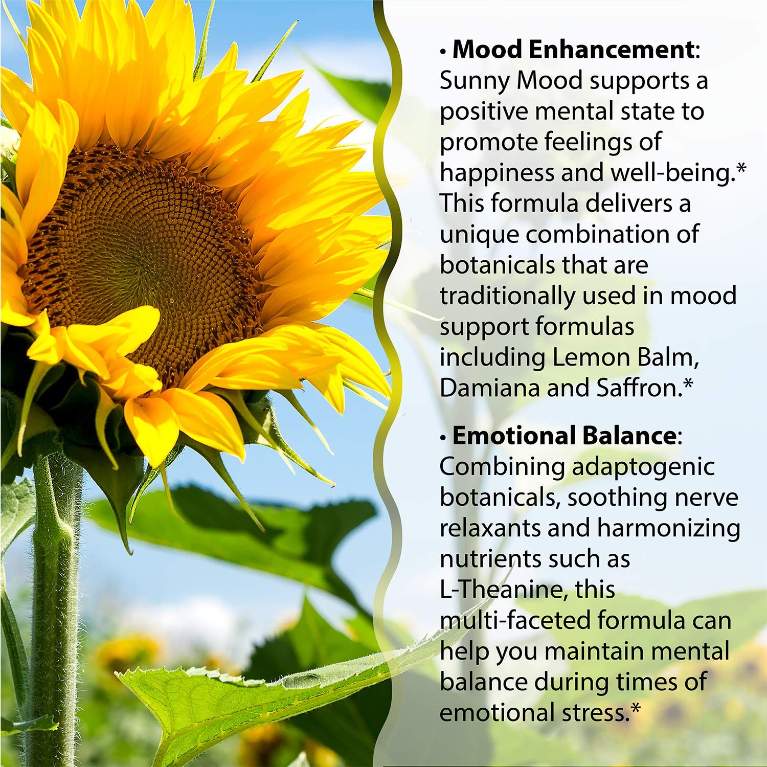 Foto 4 | Suplemento Irwin Naturals Sunny Mood Mood Stress Support 75 Cápsulas Blandas - Venta Internacional