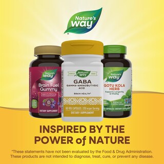Foto 6 | Suplemento De Ácido Gamma-aminobutírico Gaba De Nature's Way 60 Cápsulas - Venta Internacional.