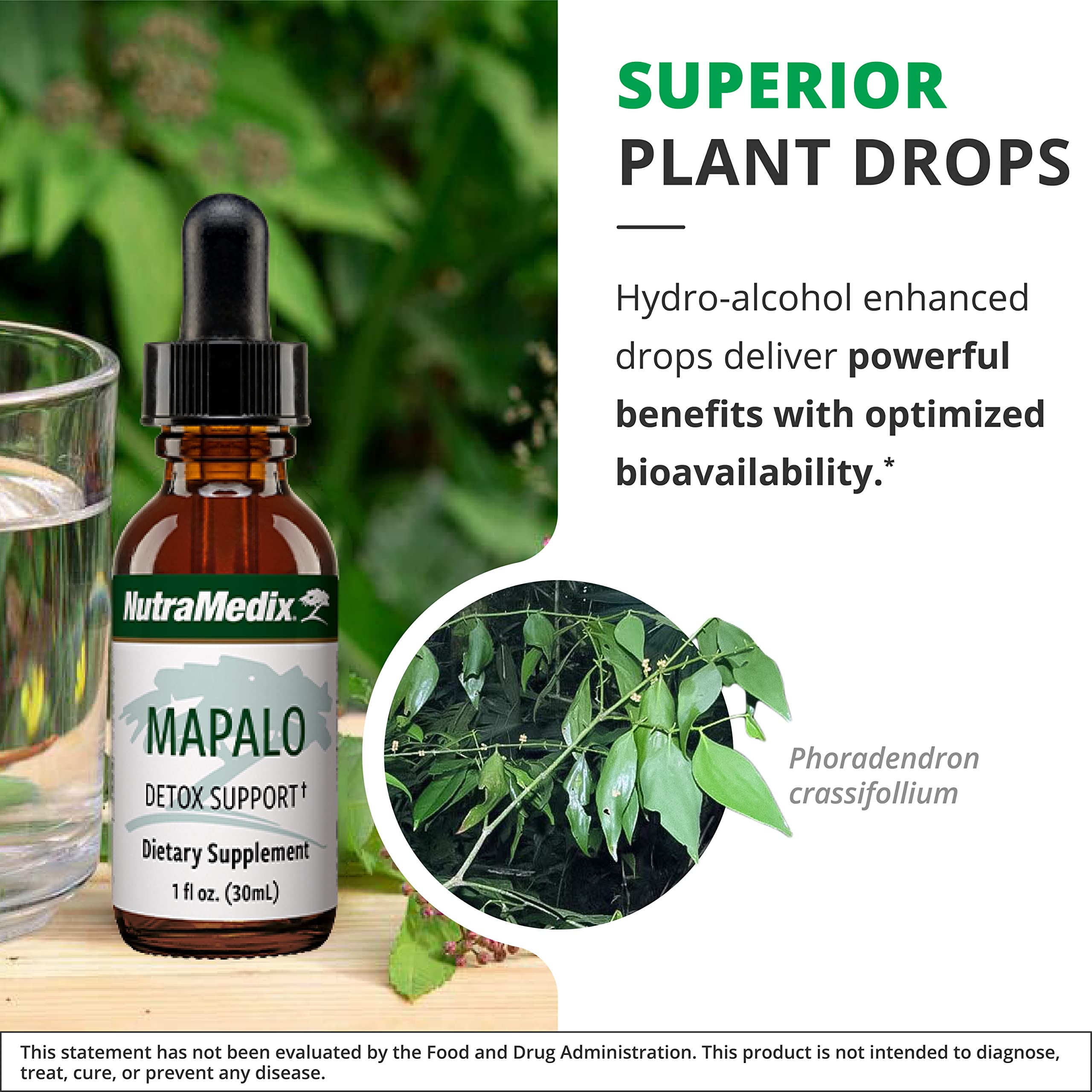 Foto 6 pulgar | Suplemento Cognitivo Nutramedix Mapalo Herbal Extract 30 Ml - Venta Internacional.