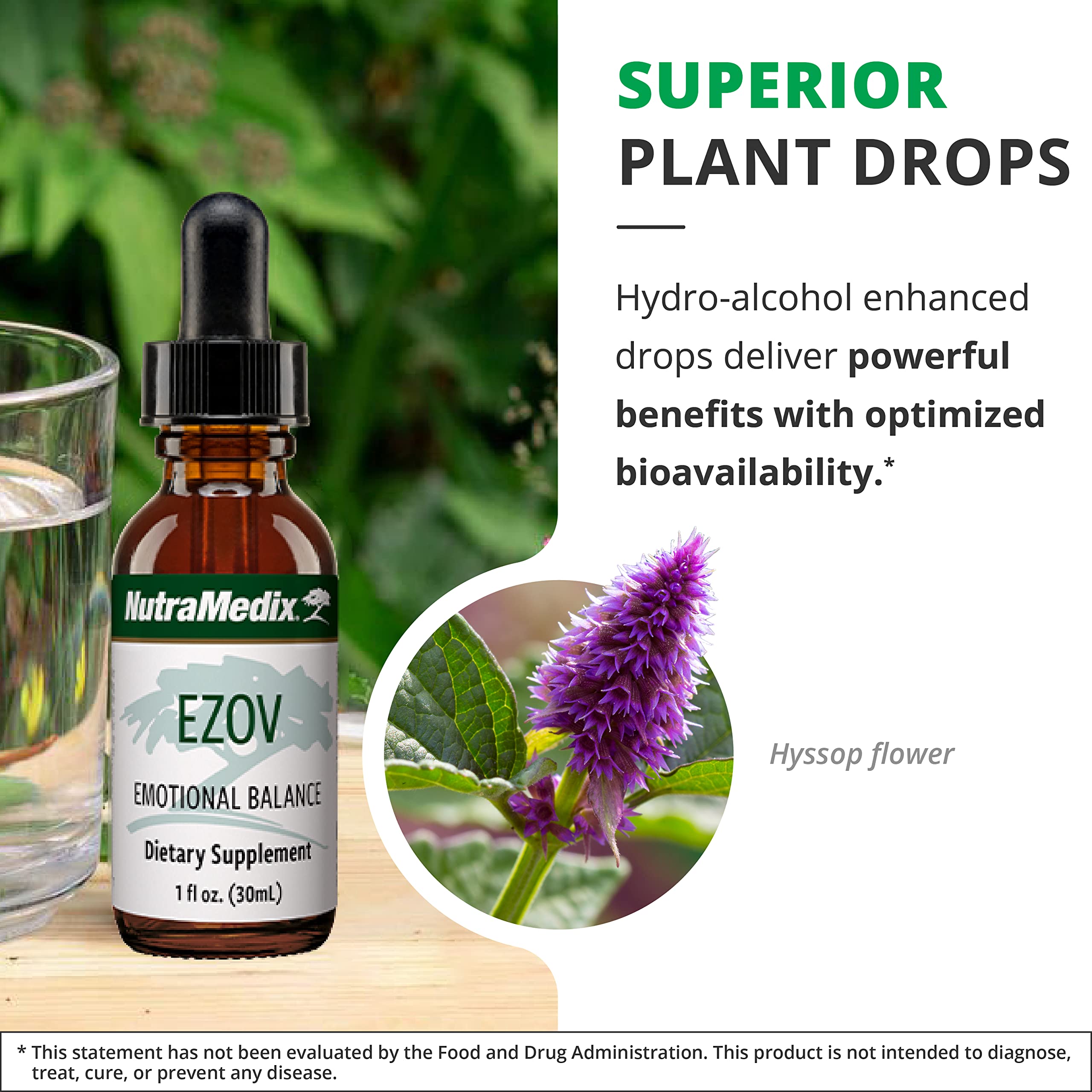 Foto 5 | Suplemento Líquido Nutramedix Ezov Hyssop Plant 30 Ml - Venta Internacional.