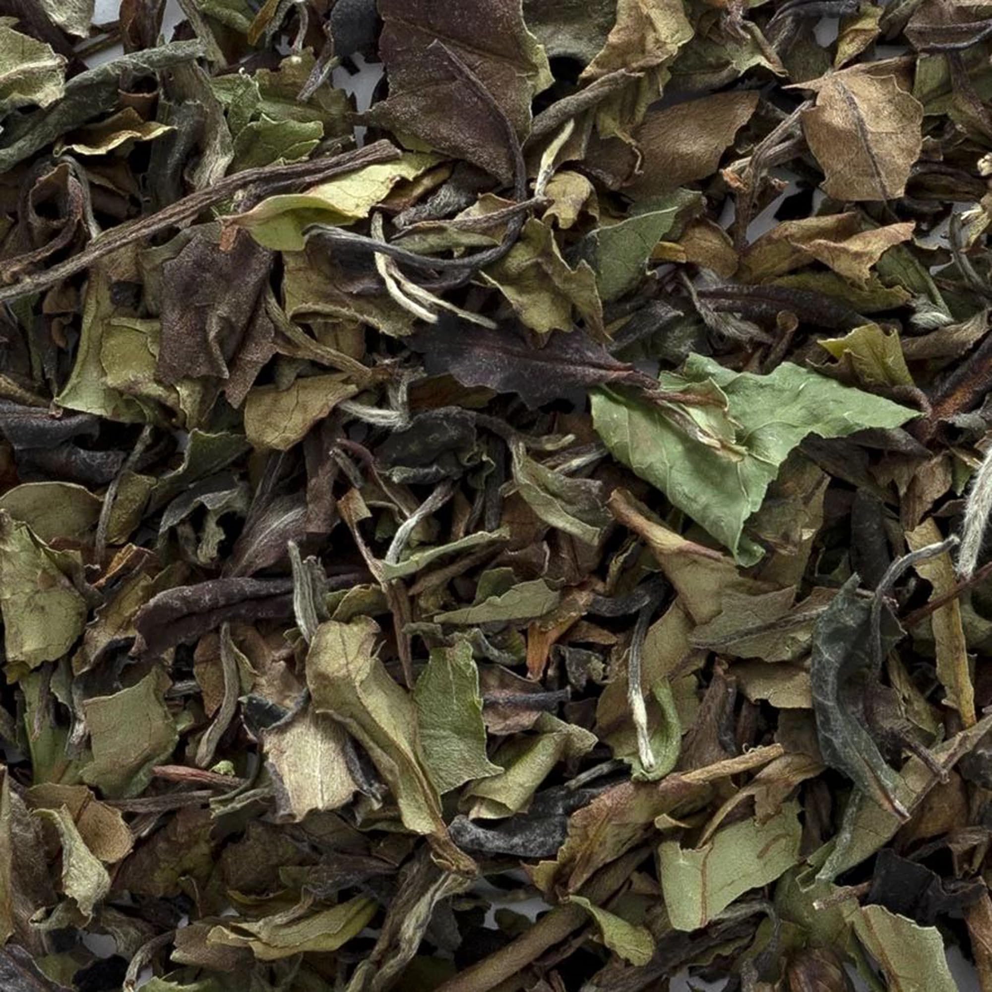 Foto 4 pulgar | Té Blanco Orgánico De Peonía Blanca A Granel De Tea Frontier  454 G - Venta Internacional.