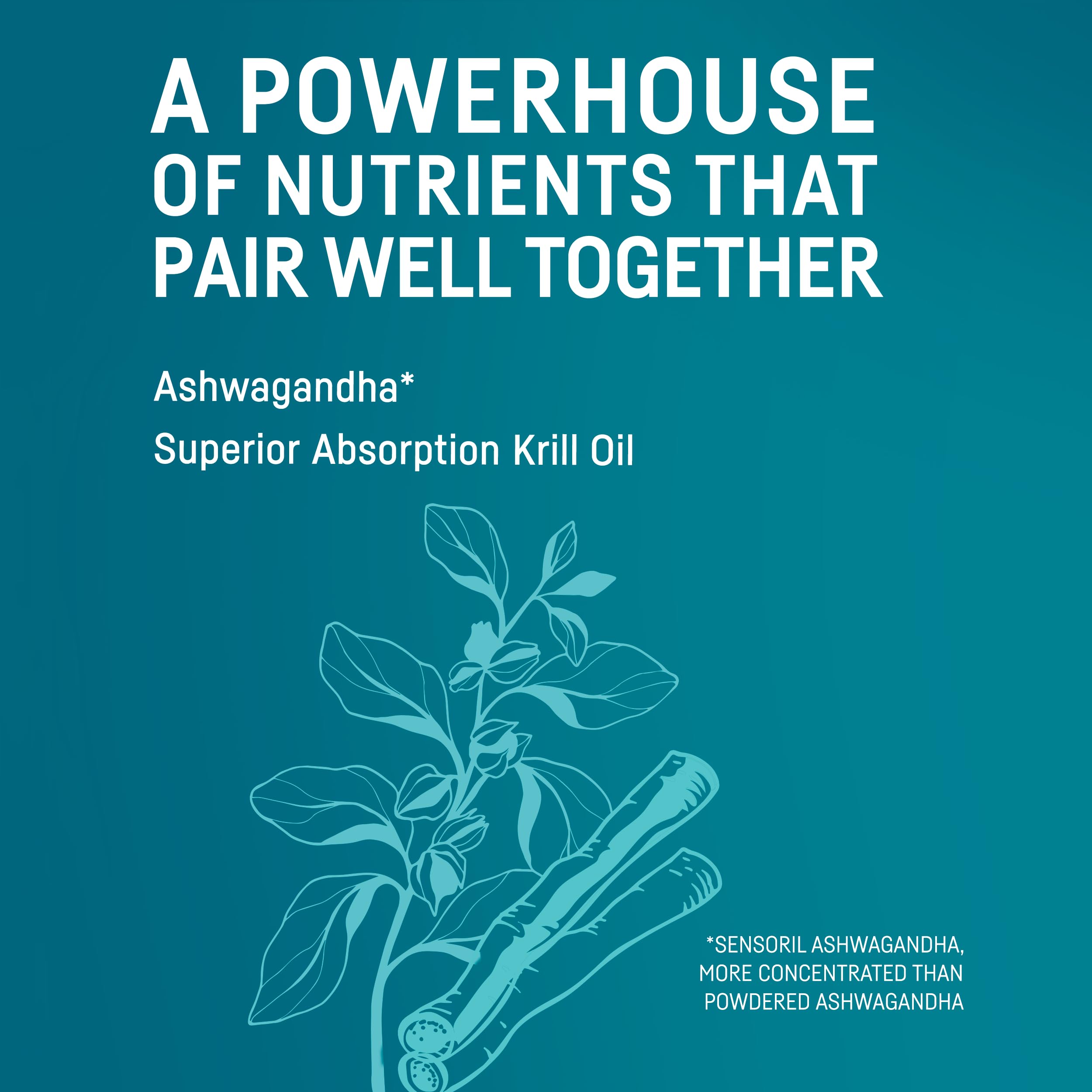 Foto 6 pulgar | Suplemento De Aceite De Krill De Kori Y Ashwagandha Para El Estrés Y La Salud - Venta Internacional.