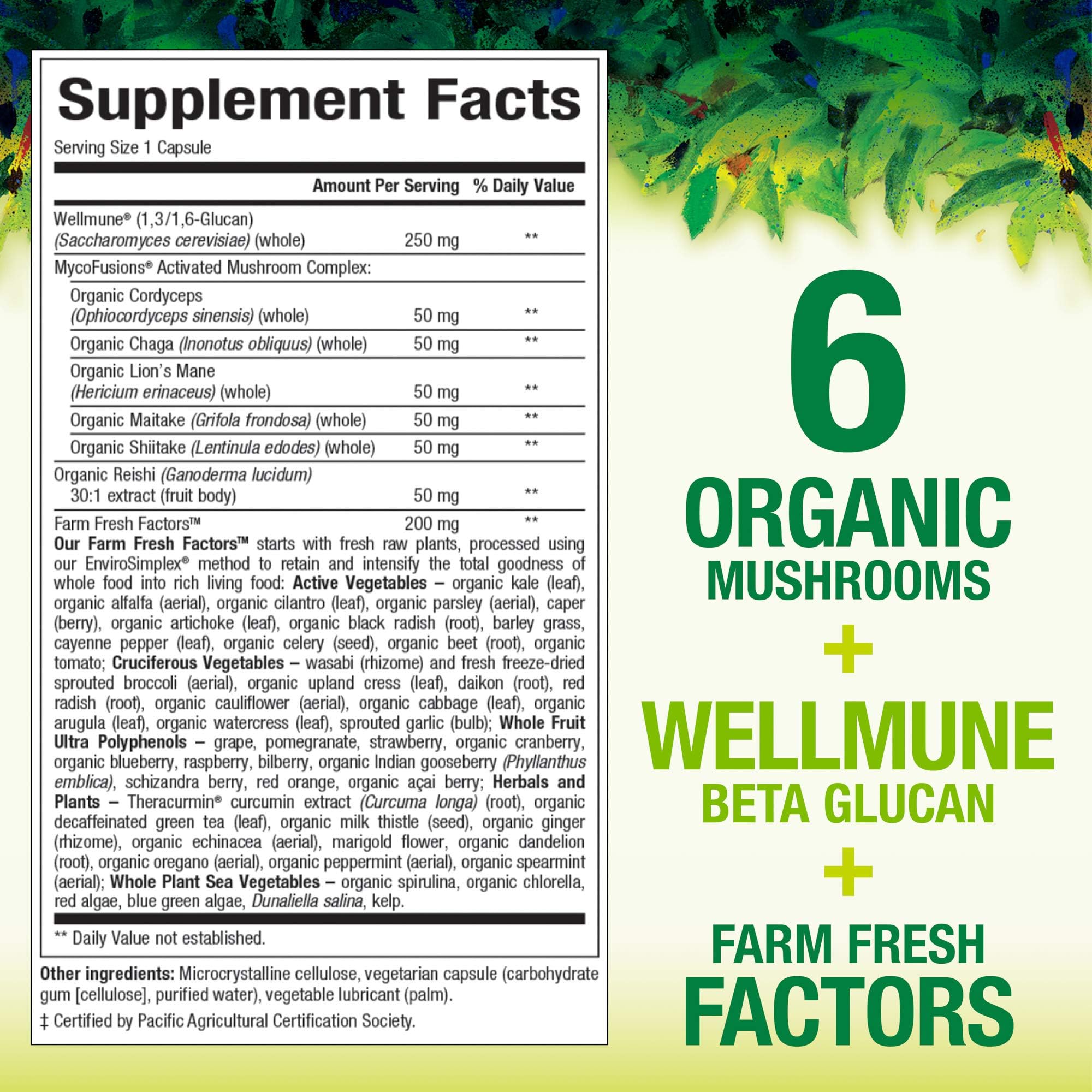 Foto 3 pulgar | Complementa Natural Factors Whole Earth & Sea Super Mushroom - Venta Internacional.