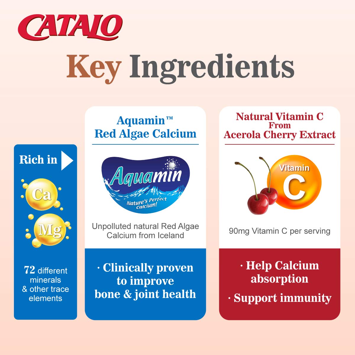 Foto 6 pulgar | Catálogo De Suplementos Calcio Vegetariano Con Magnesio Y Vitamina C - Venta Internacional.