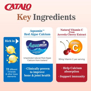 Foto 5 | Catálogo De Suplementos Calcio Vegetariano Con Magnesio Y Vitamina C - Venta Internacional.
