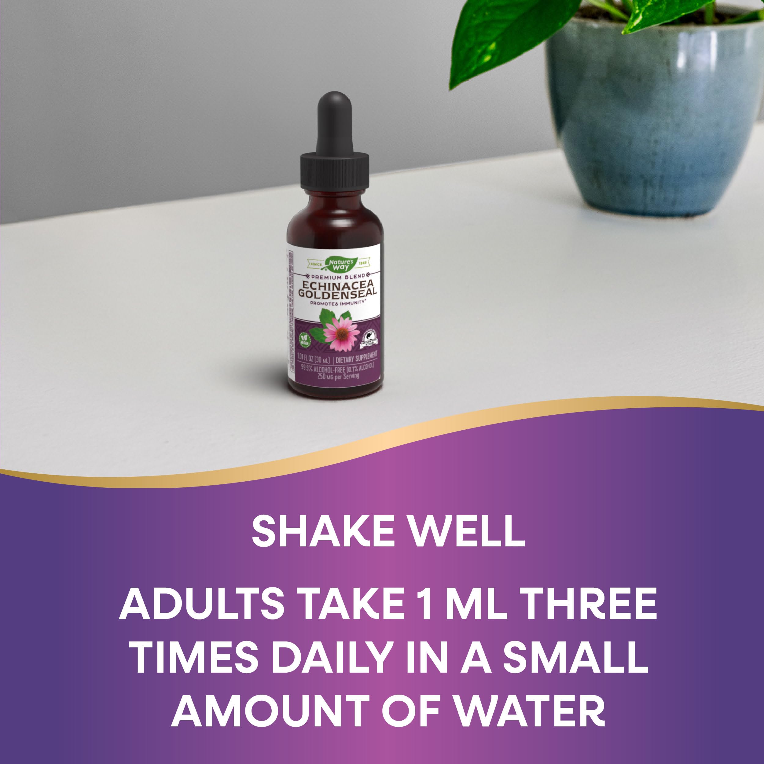 Foto 5 | Suplemento De Equinácea Y Sello Dorado De Nature's Way 250 Mg 30 Ml - Venta Internacional.