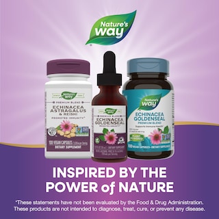 Foto 6 | Suplemento De Equinácea Y Sello Dorado De Nature's Way 250 Mg 30 Ml - Venta Internacional.