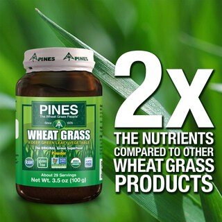 Foto 5 | Suplemento Alimenticio Pines de Hierba de Trigo en Polvo 100 g - Venta Internacional