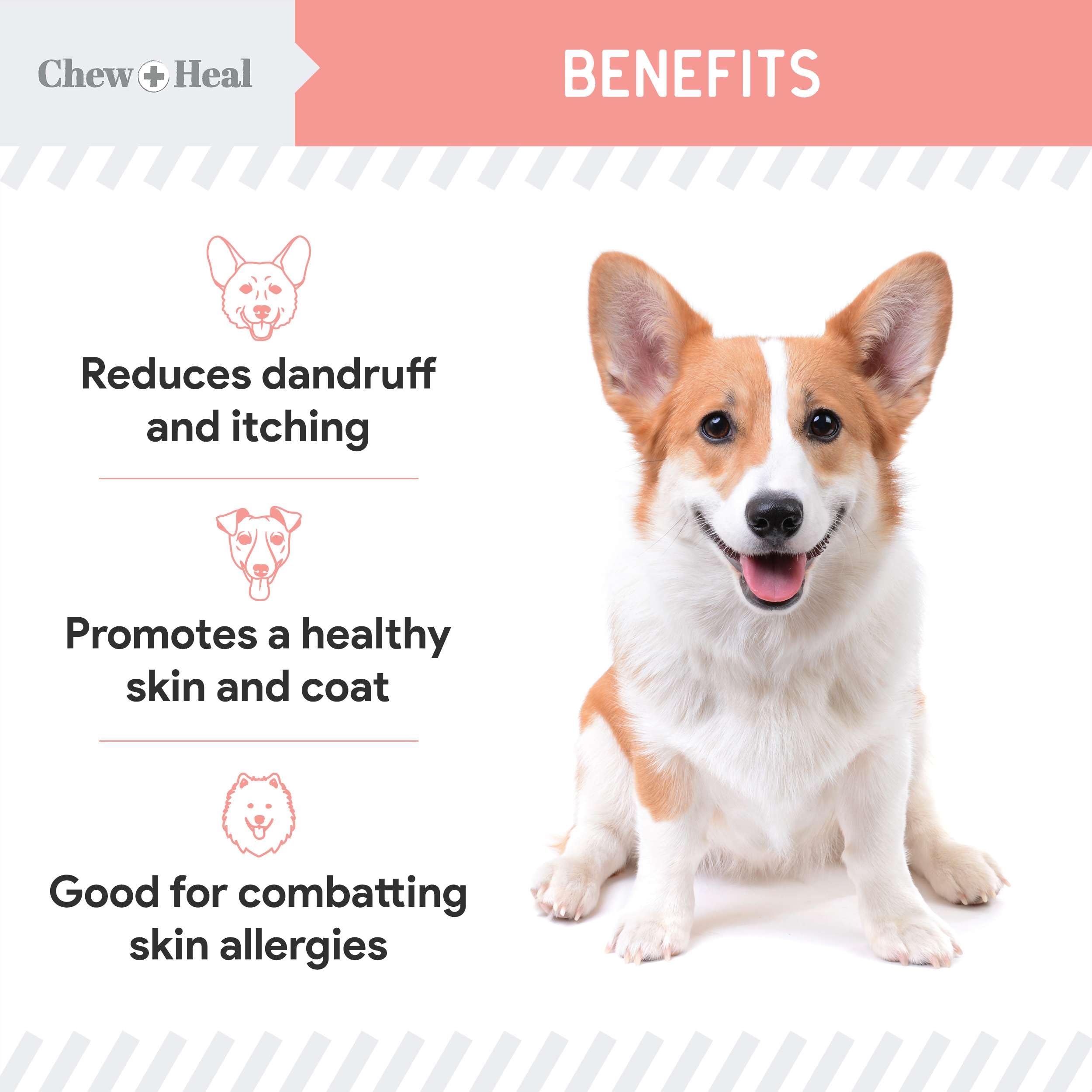Foto 4 pulgar | Suplemento De Aceite De Salmón De Alaska Chew + Heal Wild 946 Ml Para Perros - Venta Internacional.