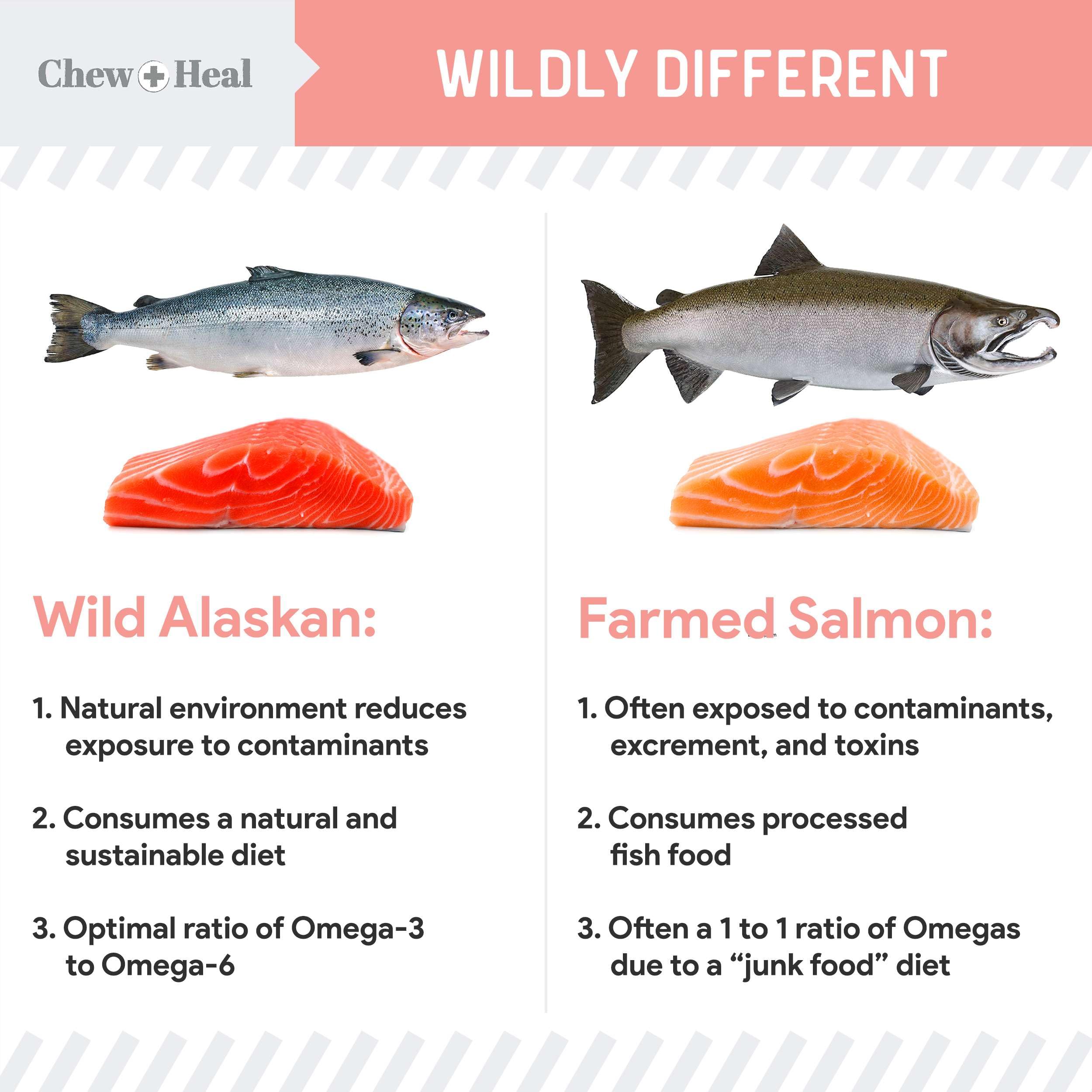 Foto 6 pulgar | Suplemento De Aceite De Salmón De Alaska Chew + Heal Wild 946 Ml Para Perros - Venta Internacional.