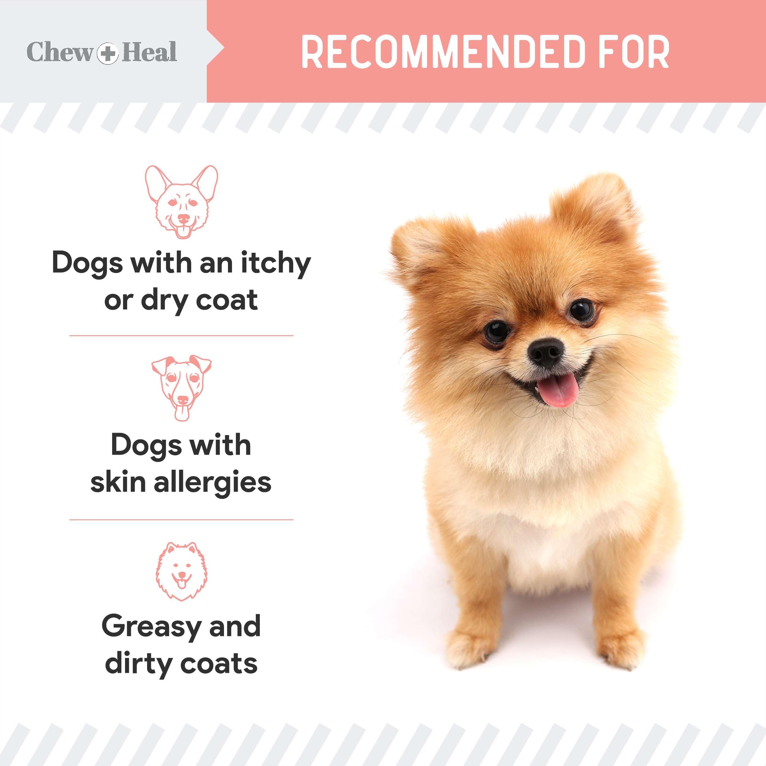 Foto 6 | Suplemento De Aceite De Salmón De Alaska Chew + Heal Wild 946 Ml Para Perros - Venta Internacional.